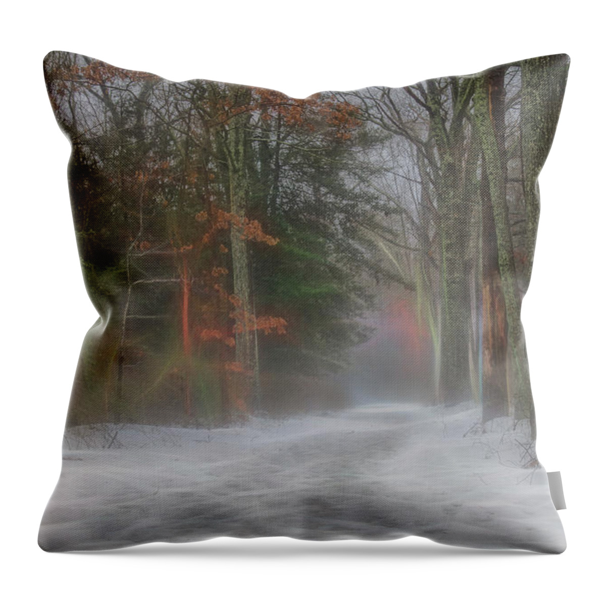 Fog Throw Pillow featuring the photograph Magic in the Fog 3 by Beth Venner
