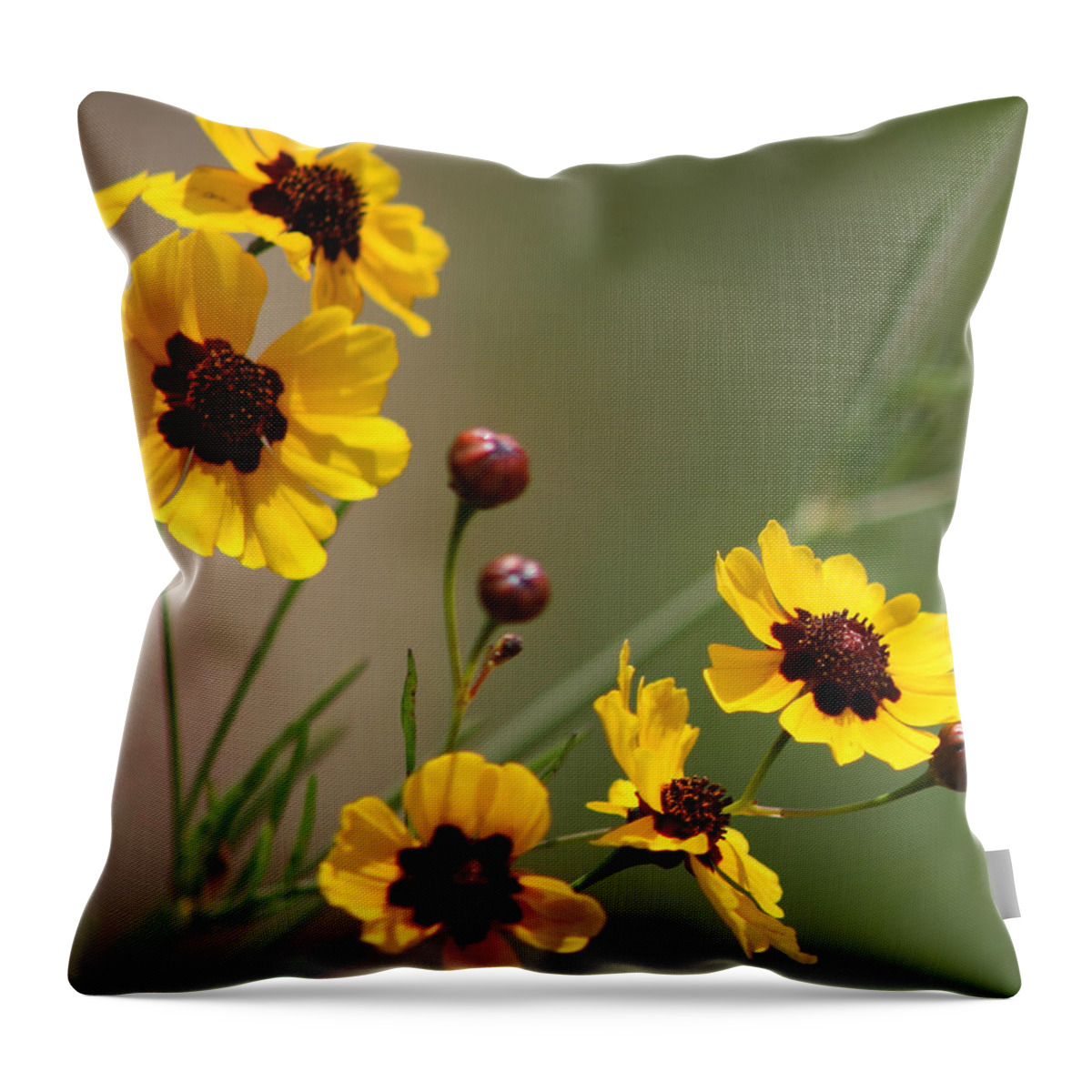 Coreopsis Throw Pillow featuring the photograph Magical Coreopsis Tinctoria Wildflowers by Kathy Clark