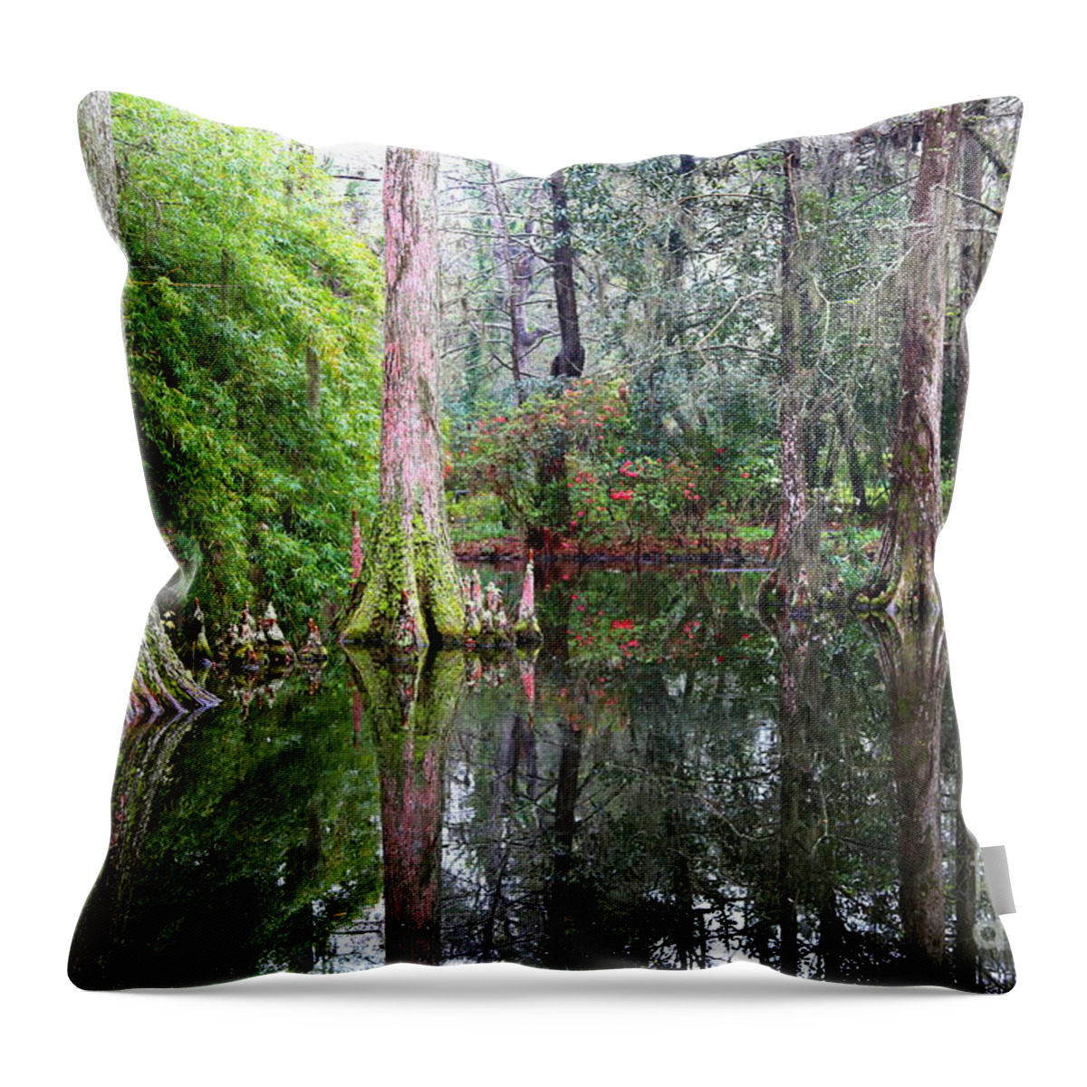 Cypress Swamp Throw Pillow featuring the photograph Magical Cypress Swamp by Carol Groenen