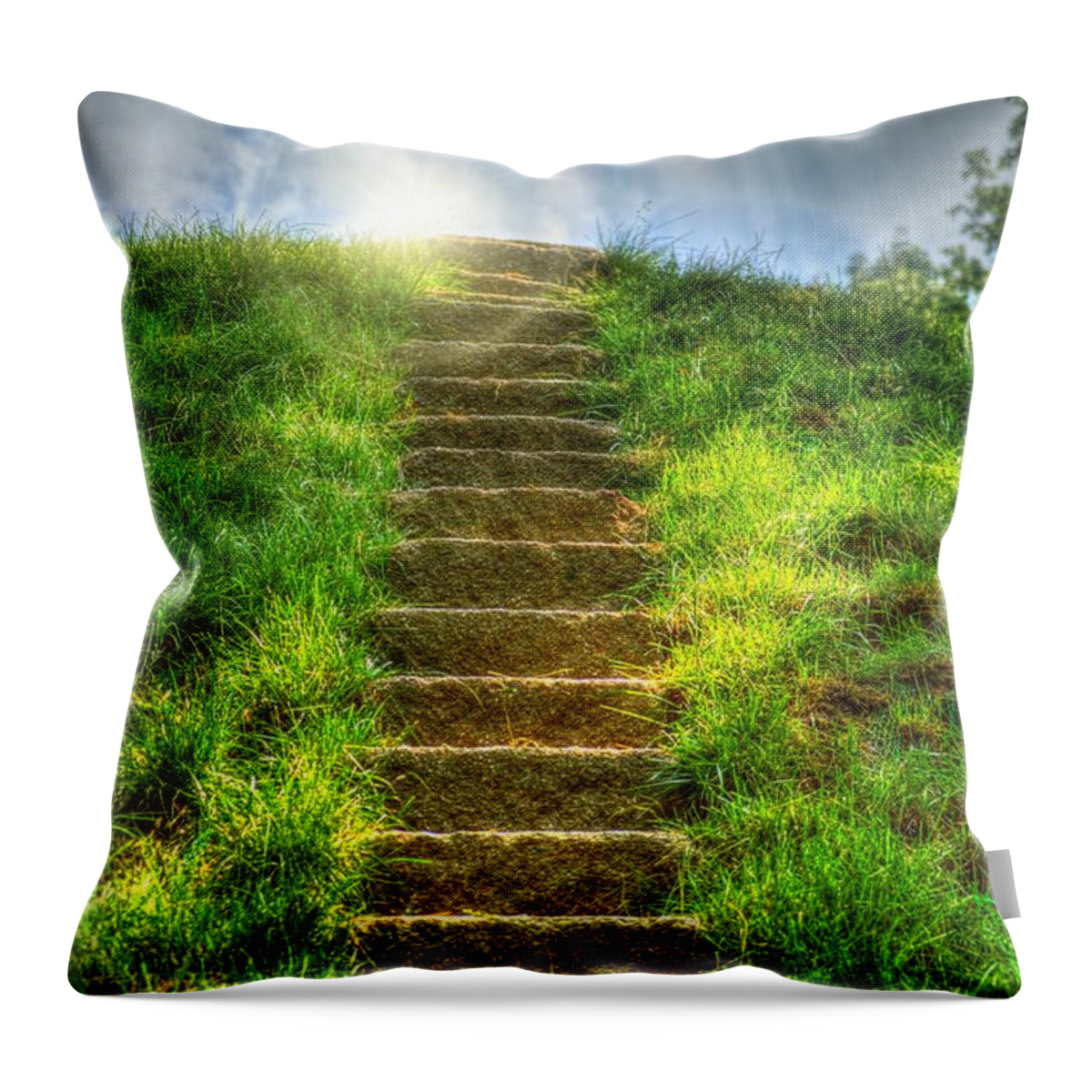 Peggy Franz Throw Pillow featuring the photograph Magical Stairway by Peggy Franz