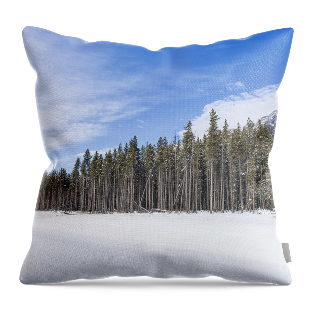Banff Throw Pillow featuring the photograph Magnetic North by Evelina Kremsdorf