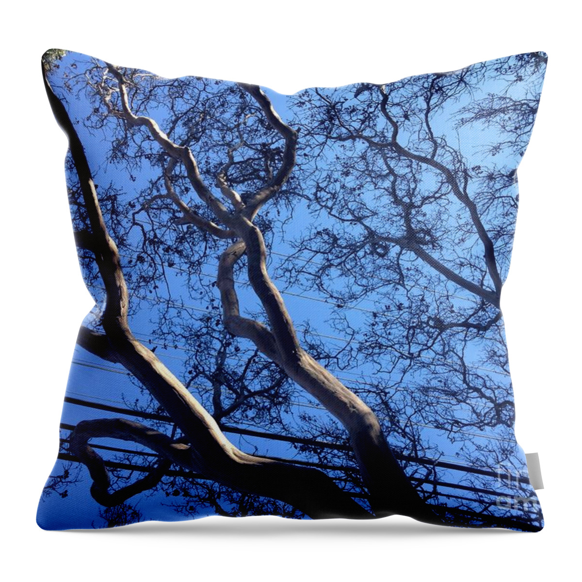 Magnificence Throw Pillow featuring the photograph Magnificence by Nora Boghossian