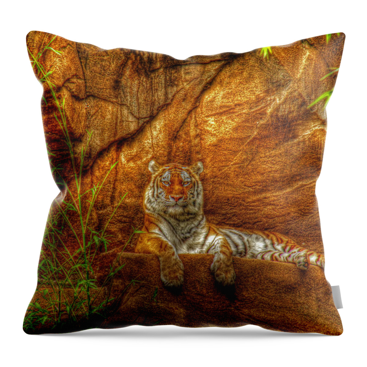 Tiger Throw Pillow featuring the photograph Magnificent Tiger resting by Andy Lawless