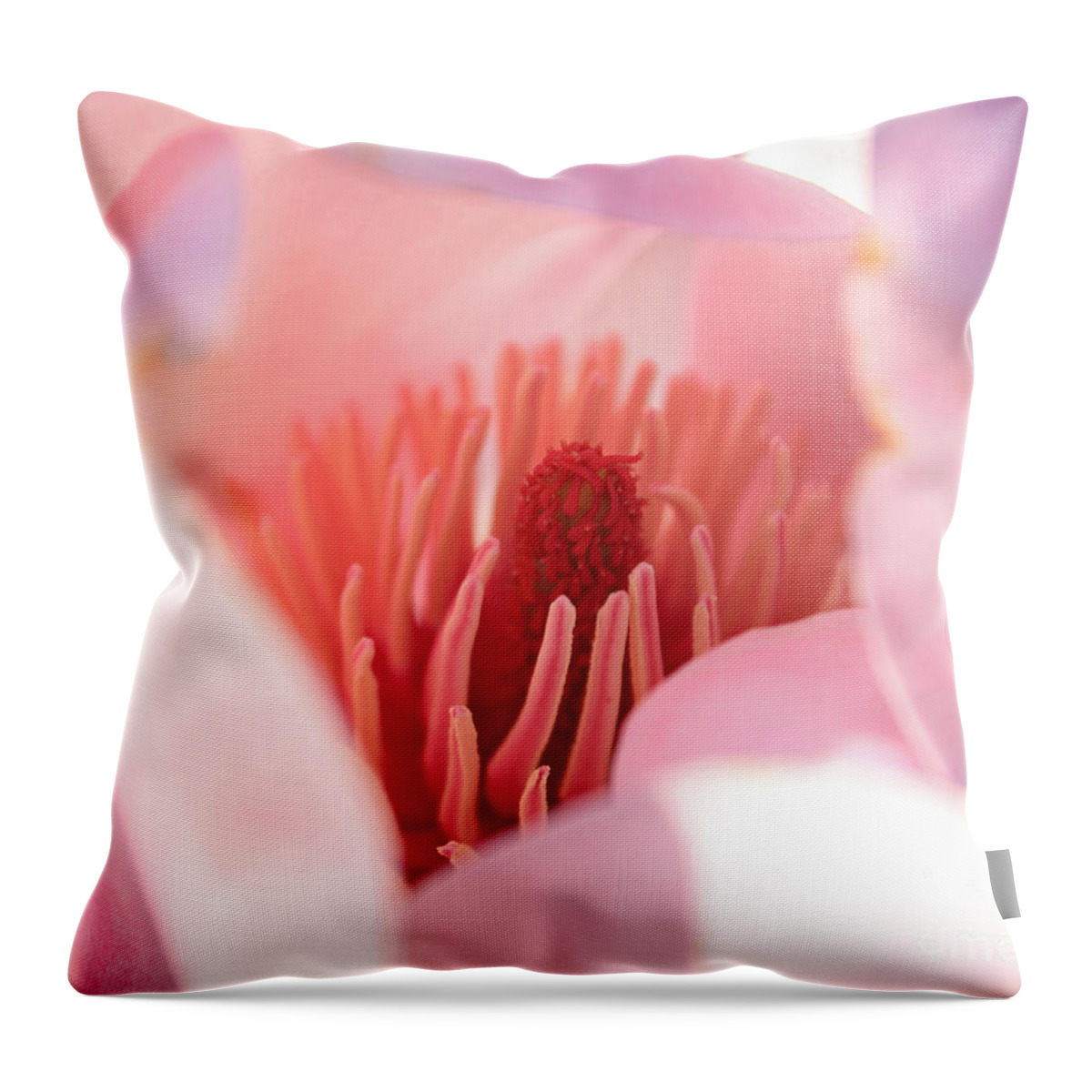 Magnolia Throw Pillow featuring the photograph Magnolia Flower by Julia Gavin