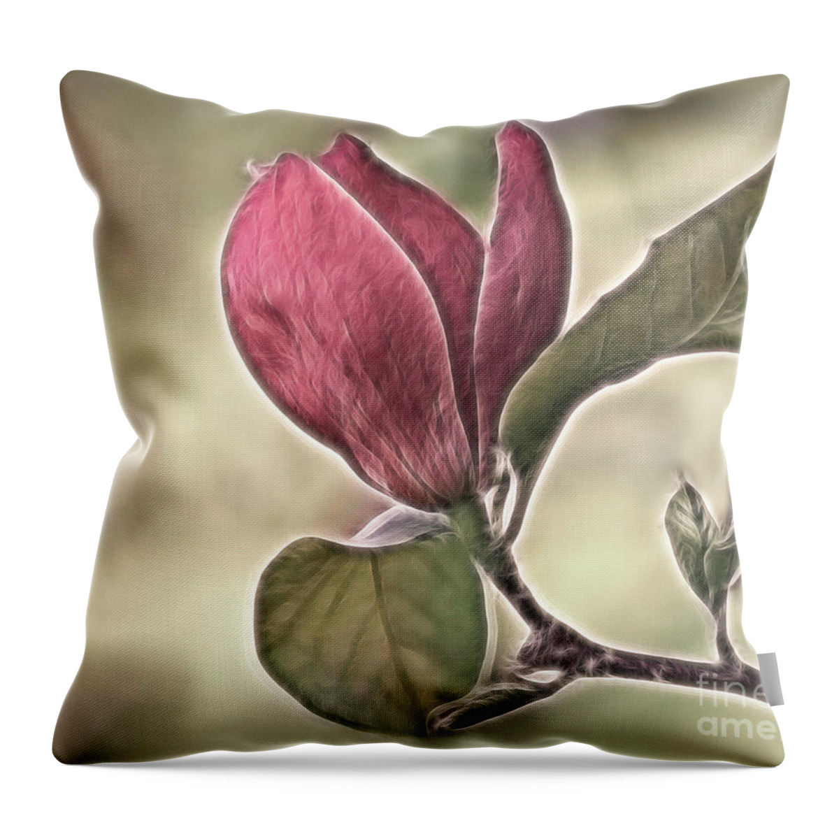 Magnolia Throw Pillow featuring the photograph Magnolia Glow by Susan Candelario