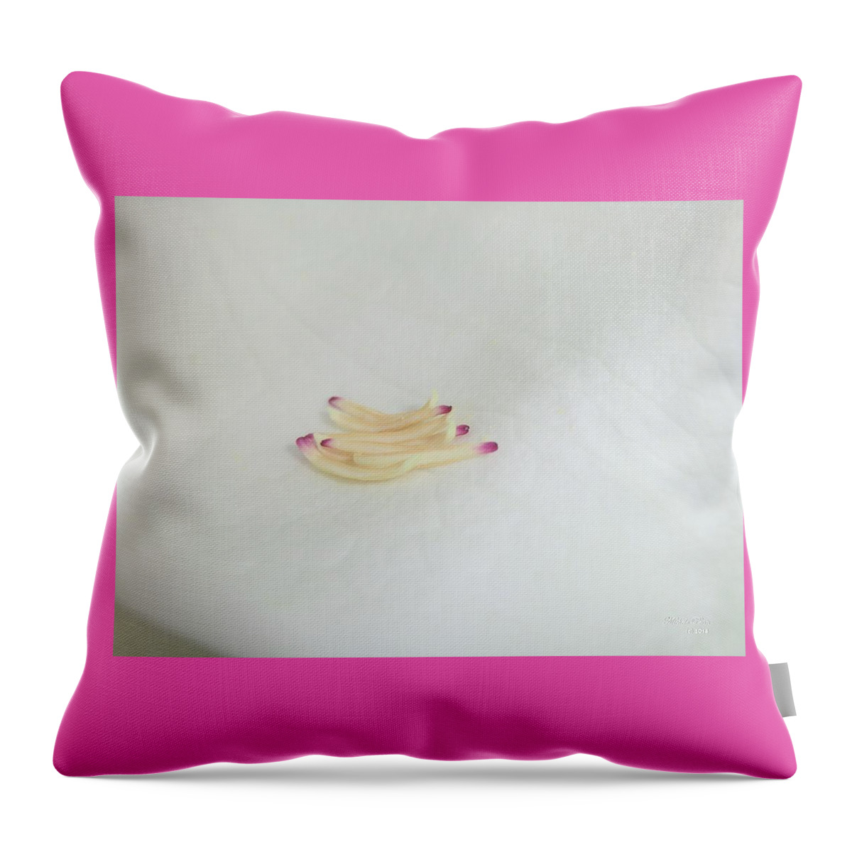 Flower Photograph Throw Pillow featuring the photograph Magnolia Matches 2 by Michele Penn