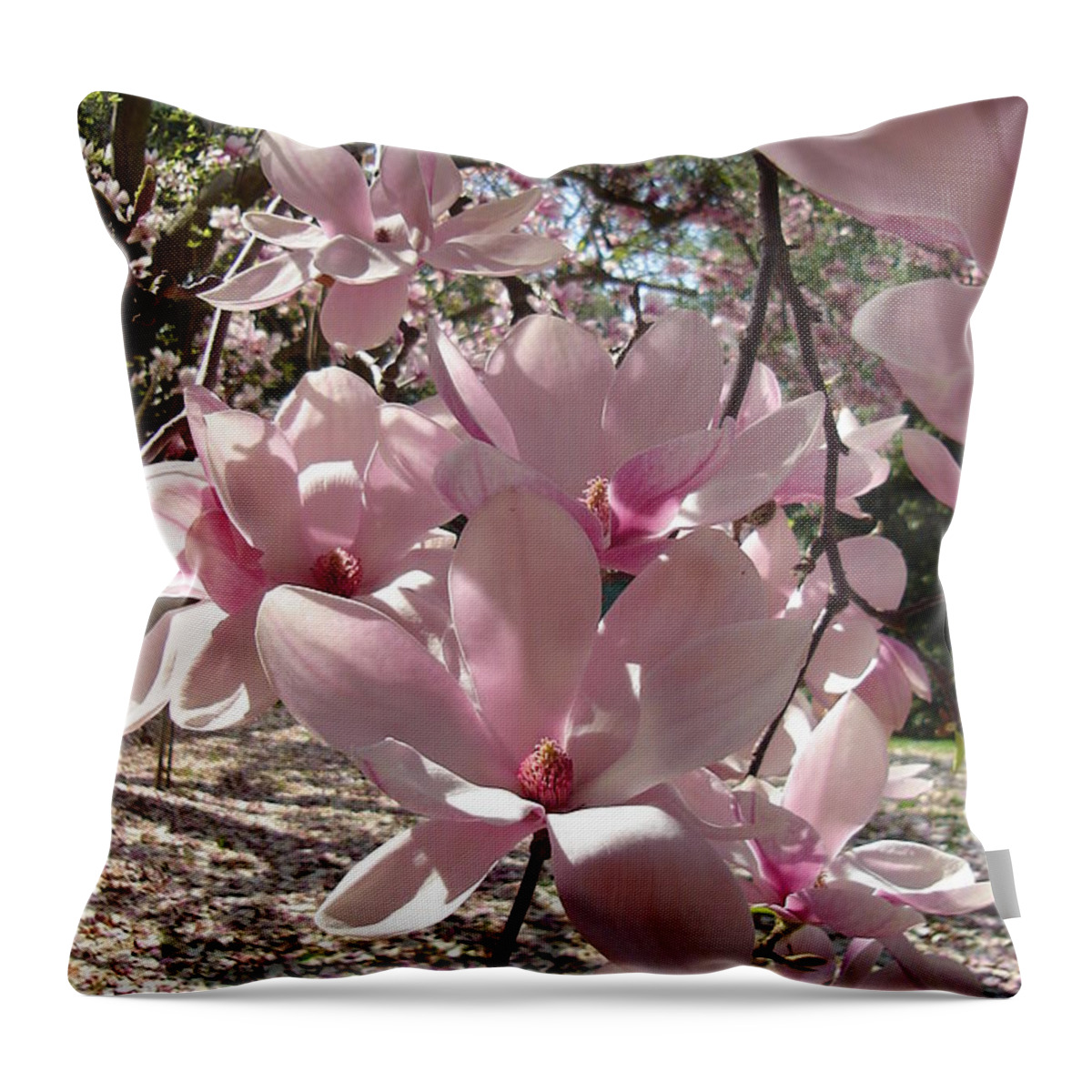 Branches Throw Pillow featuring the photograph Magnolia on a Sunny Day by Vickie G Buccini