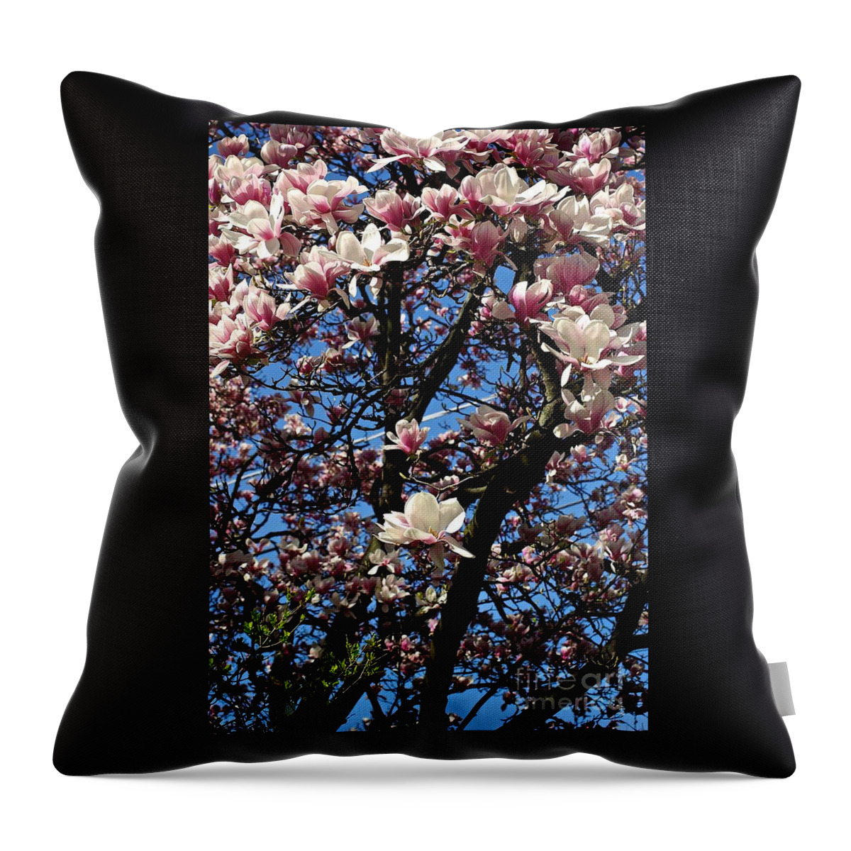 Magnolia Throw Pillow featuring the photograph Magnolias by Frank J Casella