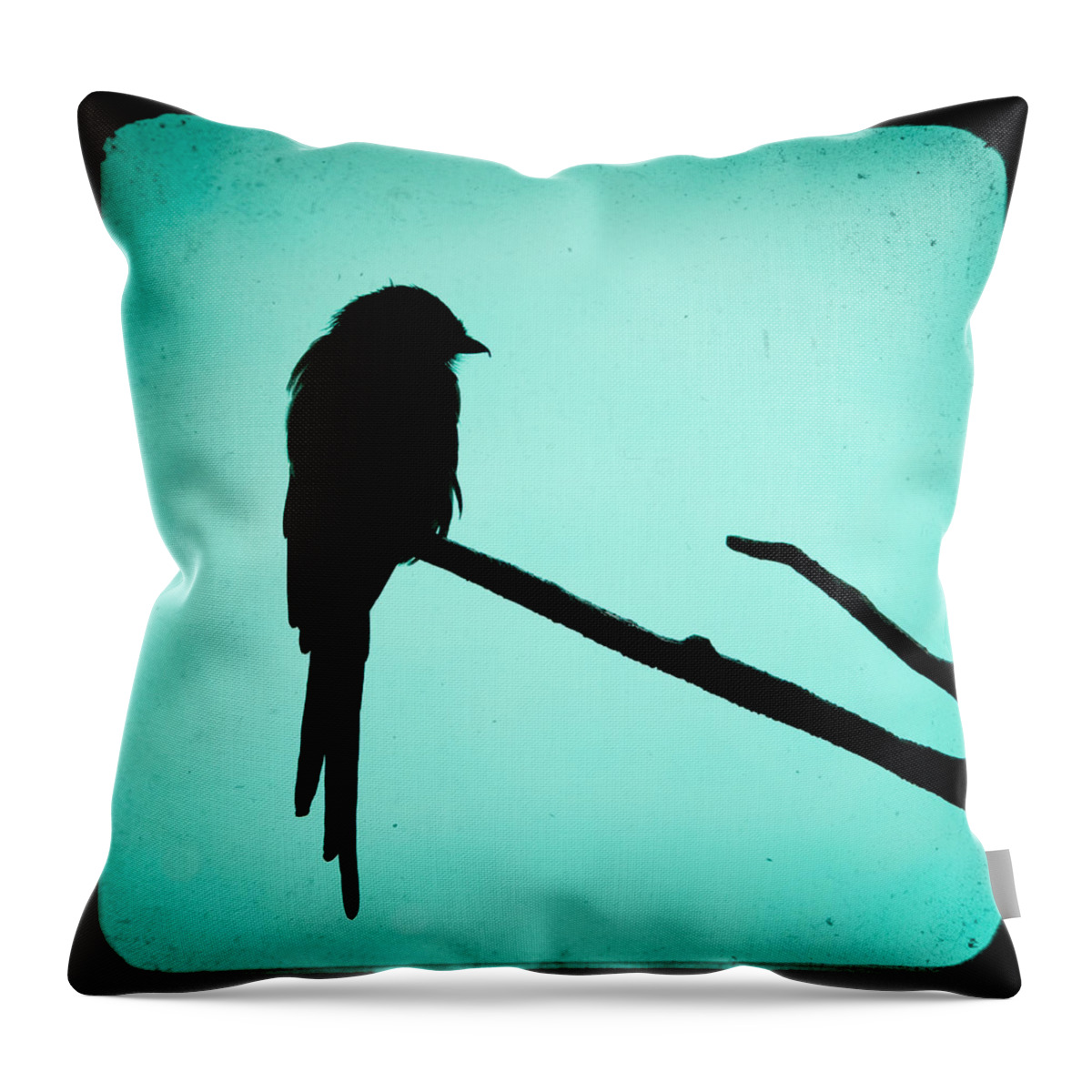 Bird Throw Pillow featuring the photograph Magpie Shrike Silhouette by Gary Heller