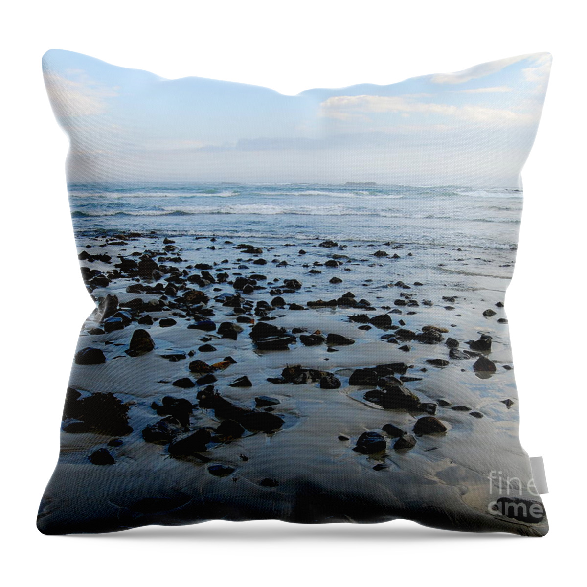 Maine Landscape Throw Pillow featuring the photograph Maine Beach Landscape by Eunice Miller