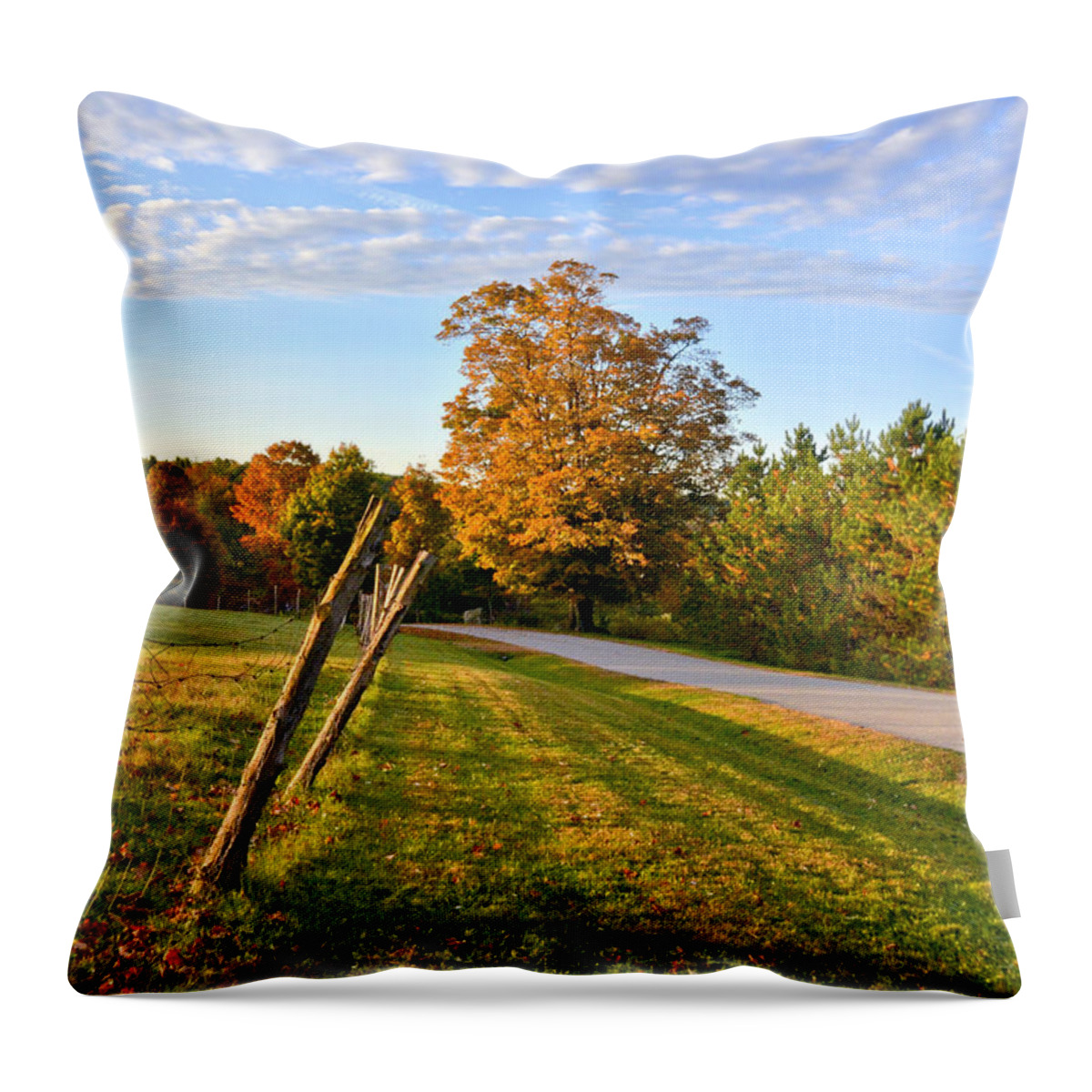 Maine Throw Pillow featuring the photograph Maine Morning by Andrea Platt