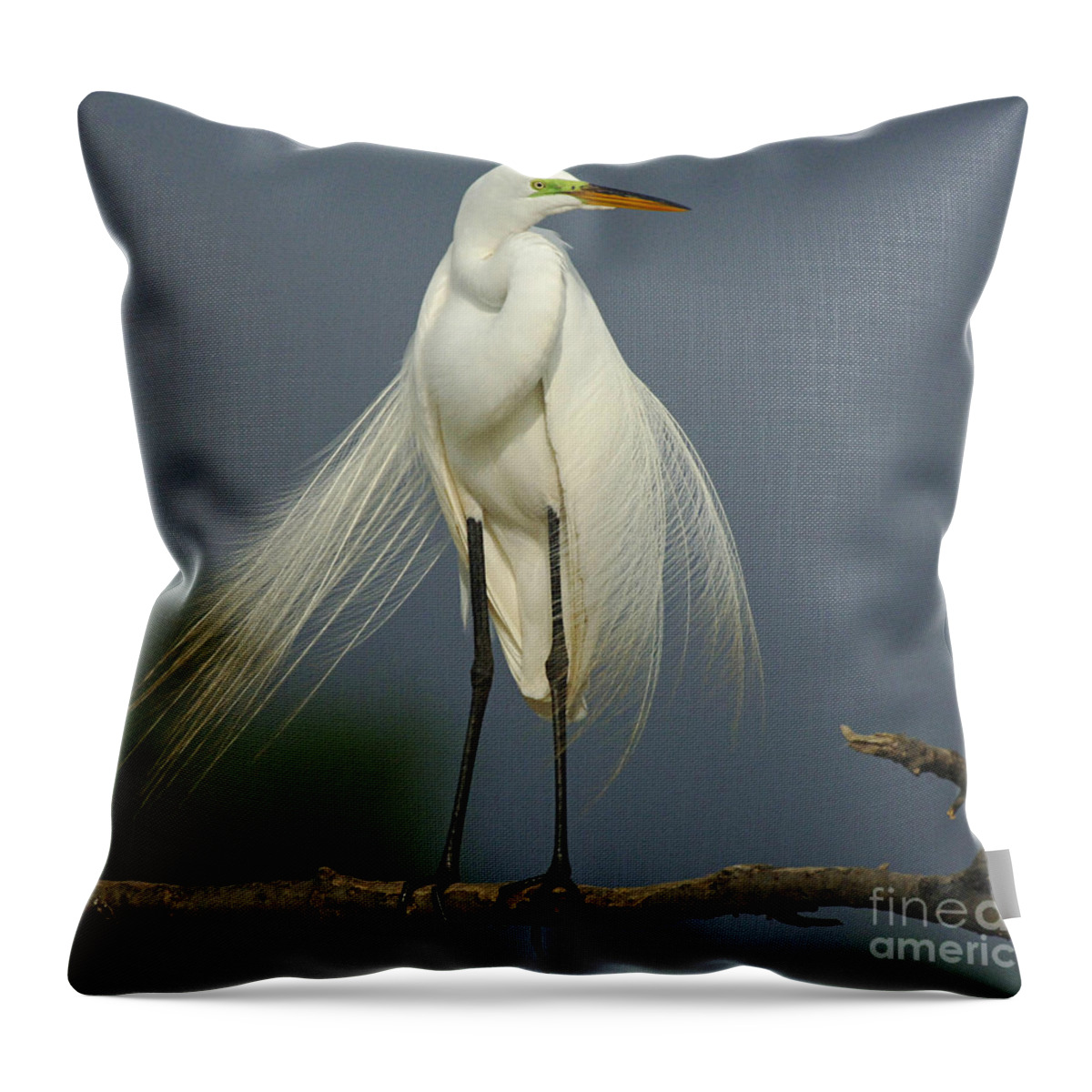 Majestic Great Egret Throw Pillow featuring the photograph Majestic Great Egret by Bob Christopher