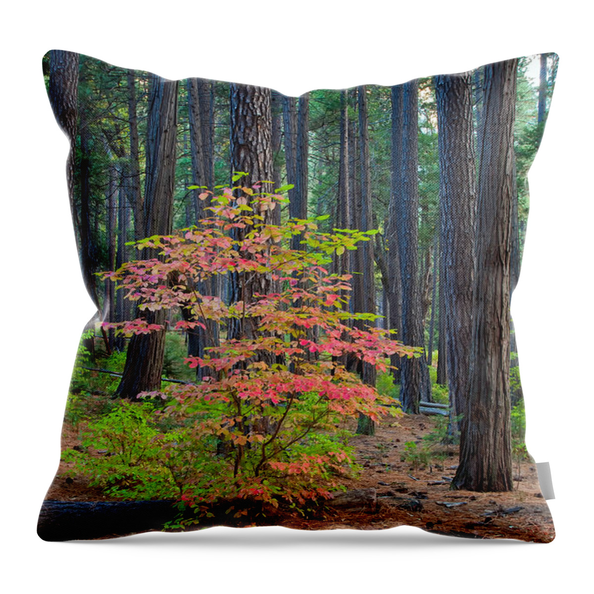 Landscape Throw Pillow featuring the photograph Majestic by Jonathan Nguyen