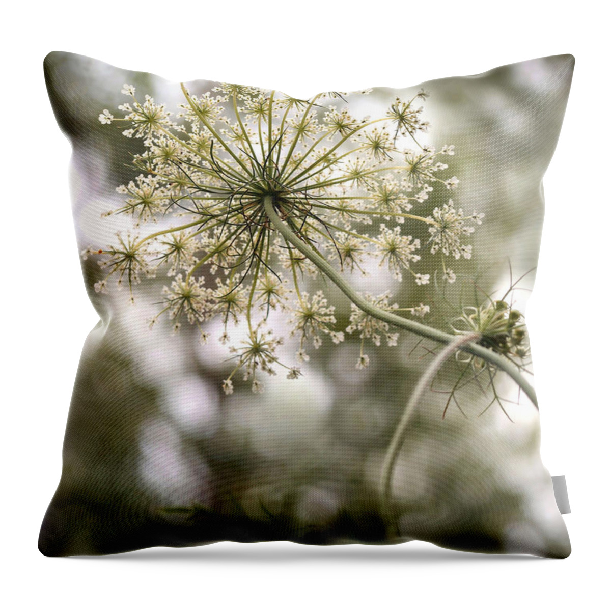 Queen Anne's Lace Throw Pillow featuring the photograph Majestic Queen - Queen Anne's Lace Daucus Carota by Angie Rea