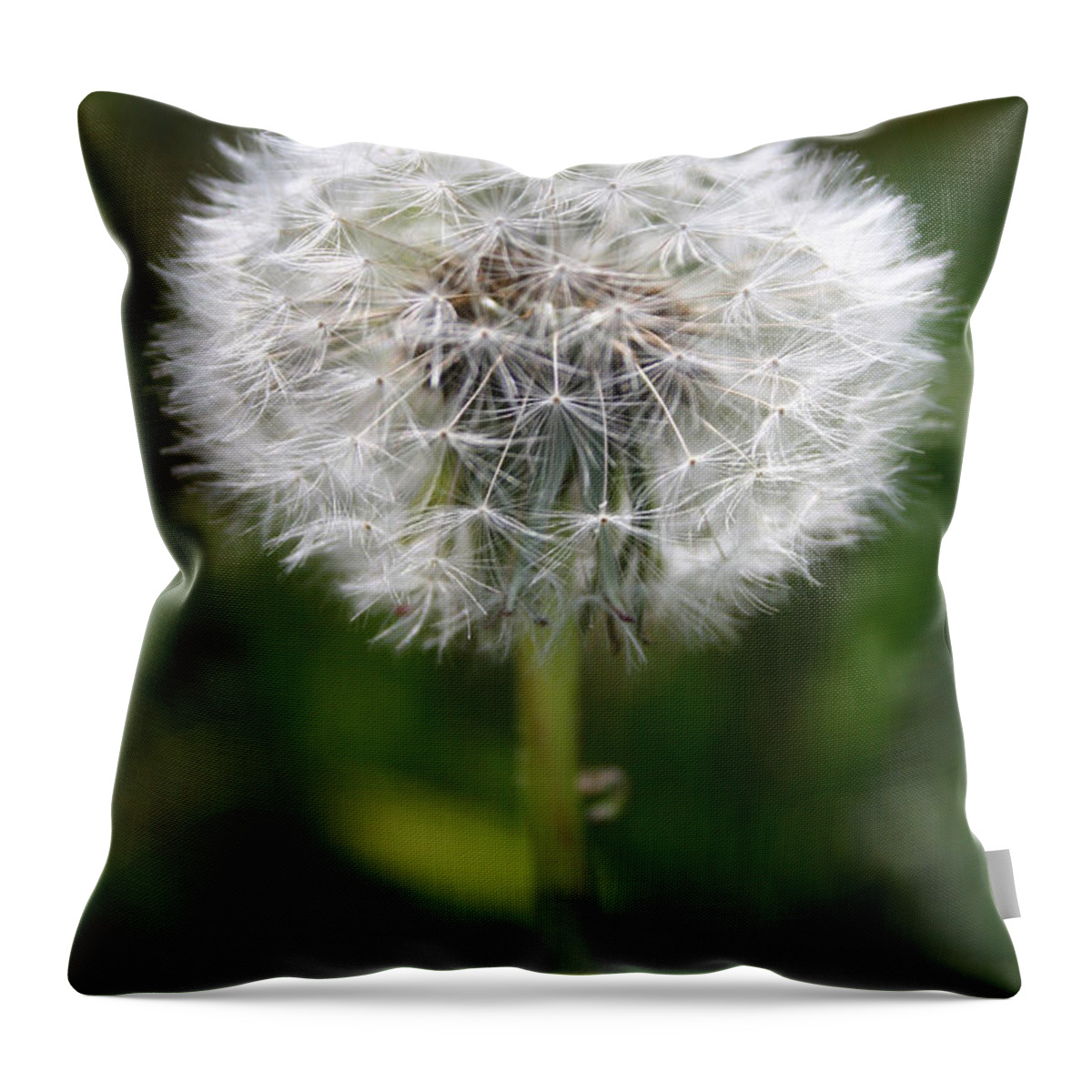 Dandelion Throw Pillow featuring the photograph Make A Wish by Jeanette French