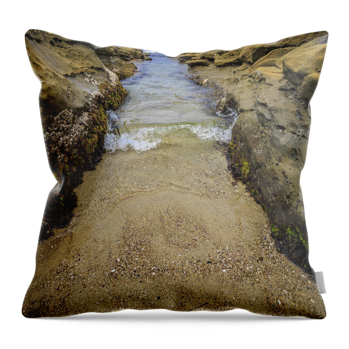 Tide Pool Throw Pillow featuring the photograph Make Way 2 by Scott Campbell