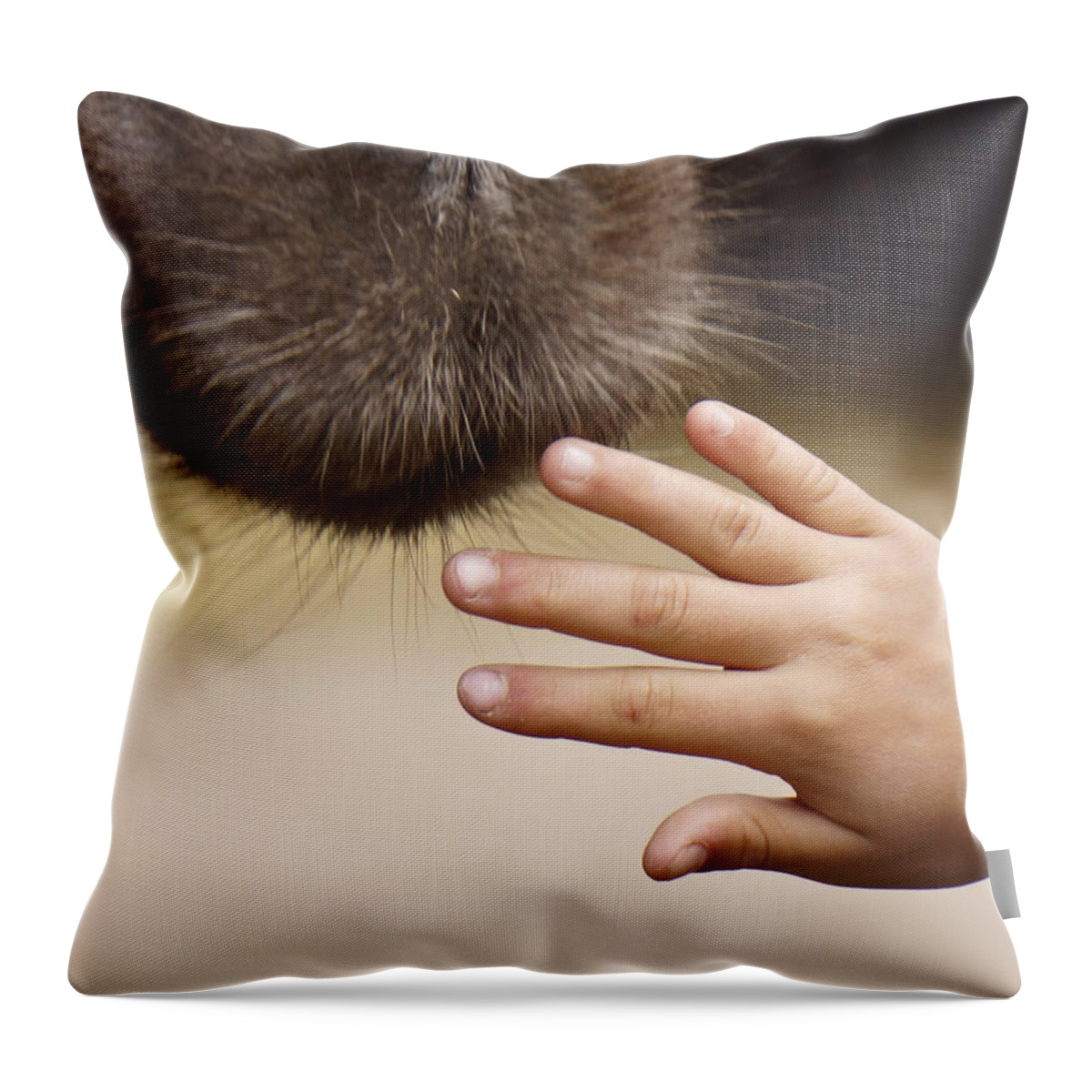 Friend Throw Pillow featuring the photograph Making friends again by Inge Riis McDonald