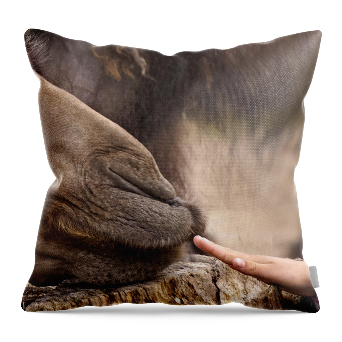 Camel Throw Pillow featuring the photograph Making friends by Inge Riis McDonald