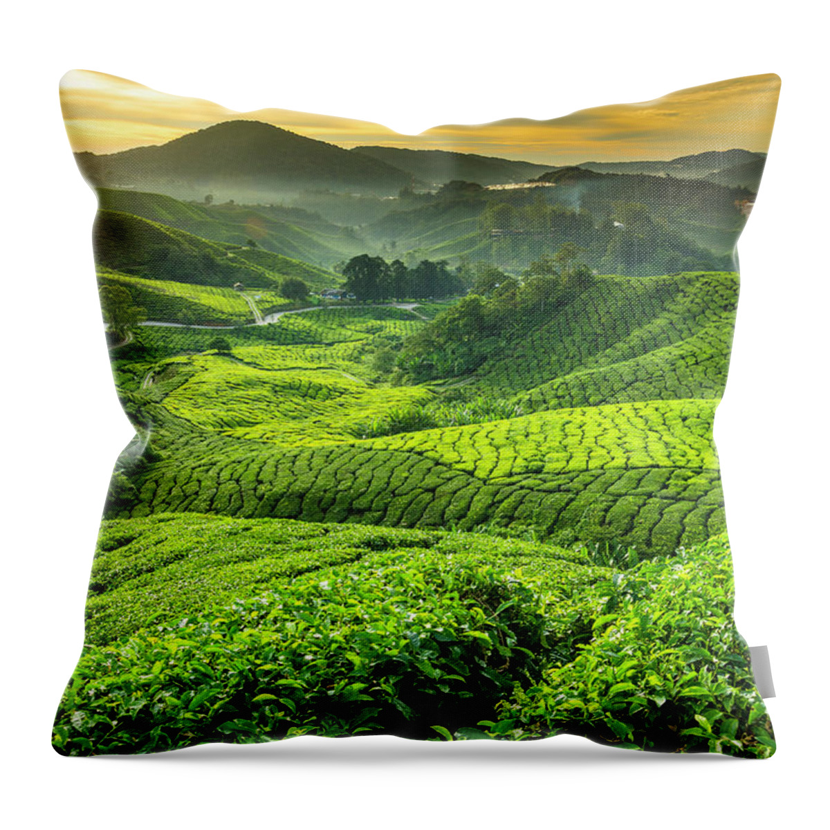 Cameron Highlands Throw Pillow featuring the photograph Malaysia, Pahang, Cameron Highlands by Cescassawin
