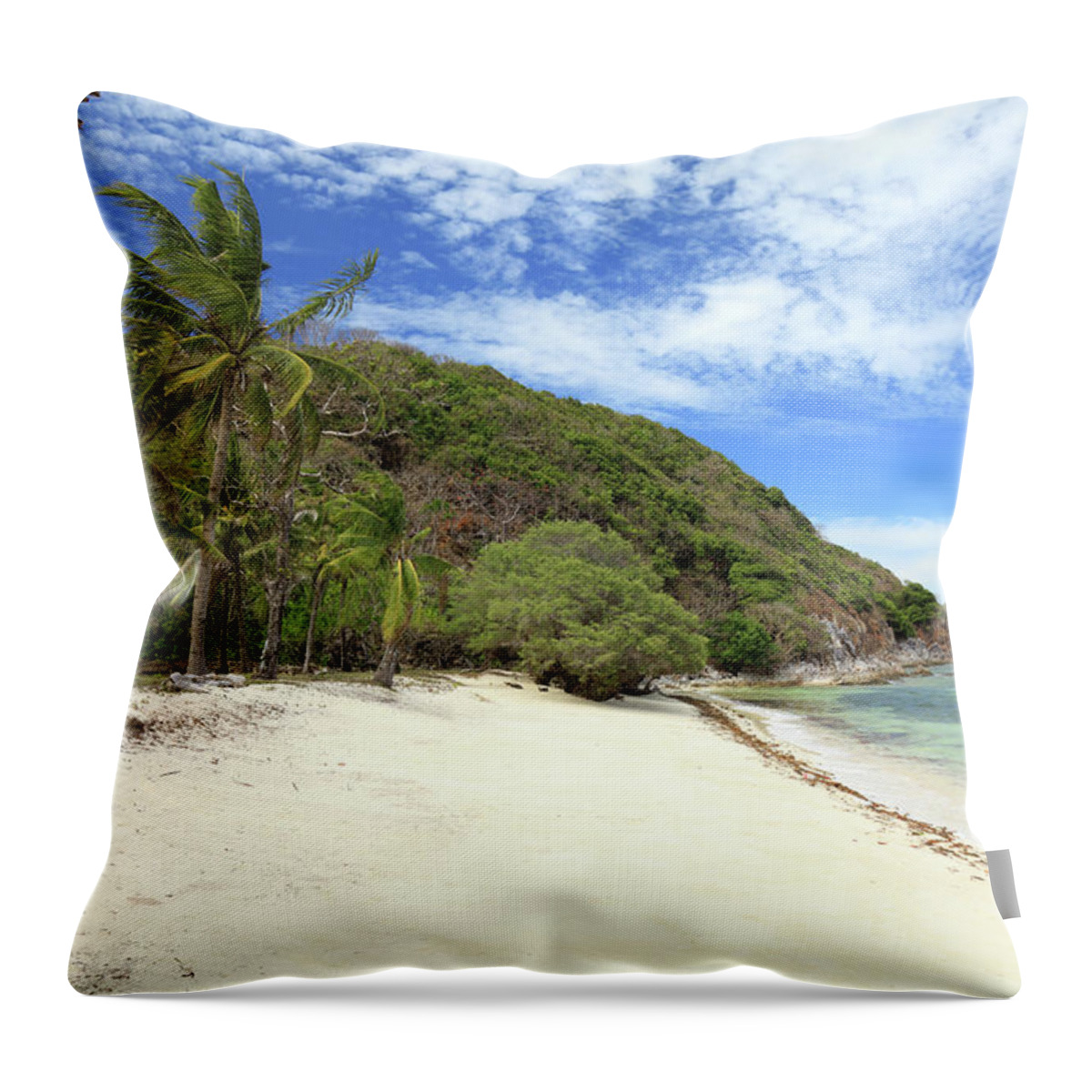 Scenics Throw Pillow featuring the photograph Malcapuya Island Beach by Vuk8691