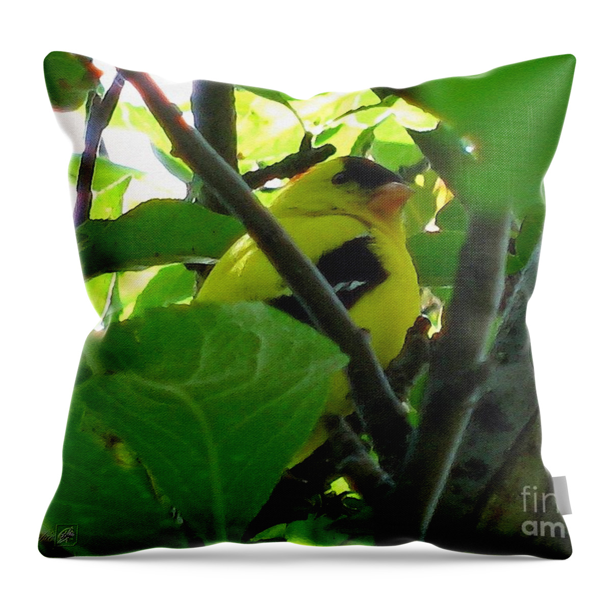 American Goldfinch Throw Pillow featuring the painting Male American Goldfinch by J McCombie