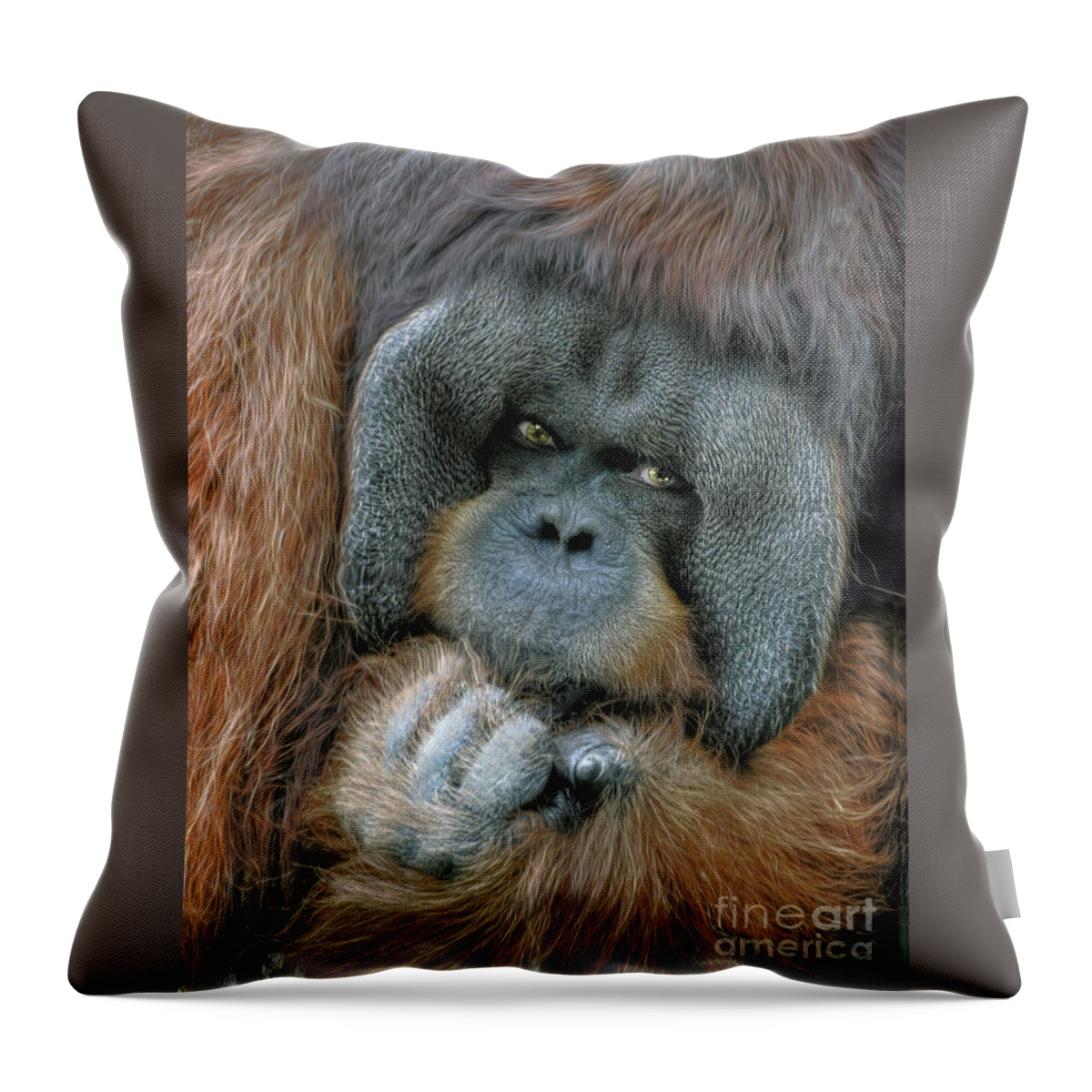 Male Throw Pillow featuring the digital art Male Orangutan by Savannah Gibbs
