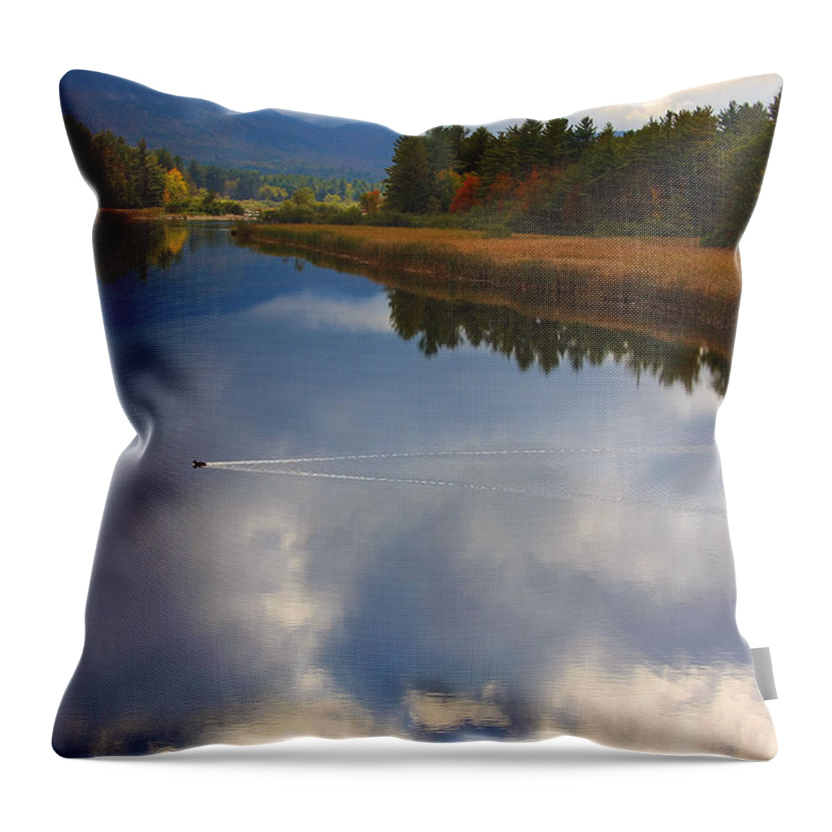 Mallard Duck Throw Pillow featuring the photograph Mallard Duck on Lake in Adirondack Mountains in Autumn by Jerry Cowart