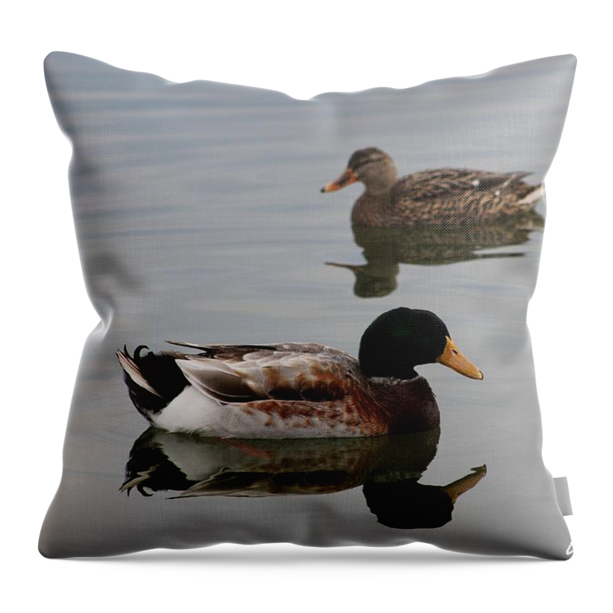 Anas Platyrhynchos Throw Pillow featuring the photograph Mallard Ducks Reflecting by Robert Banach