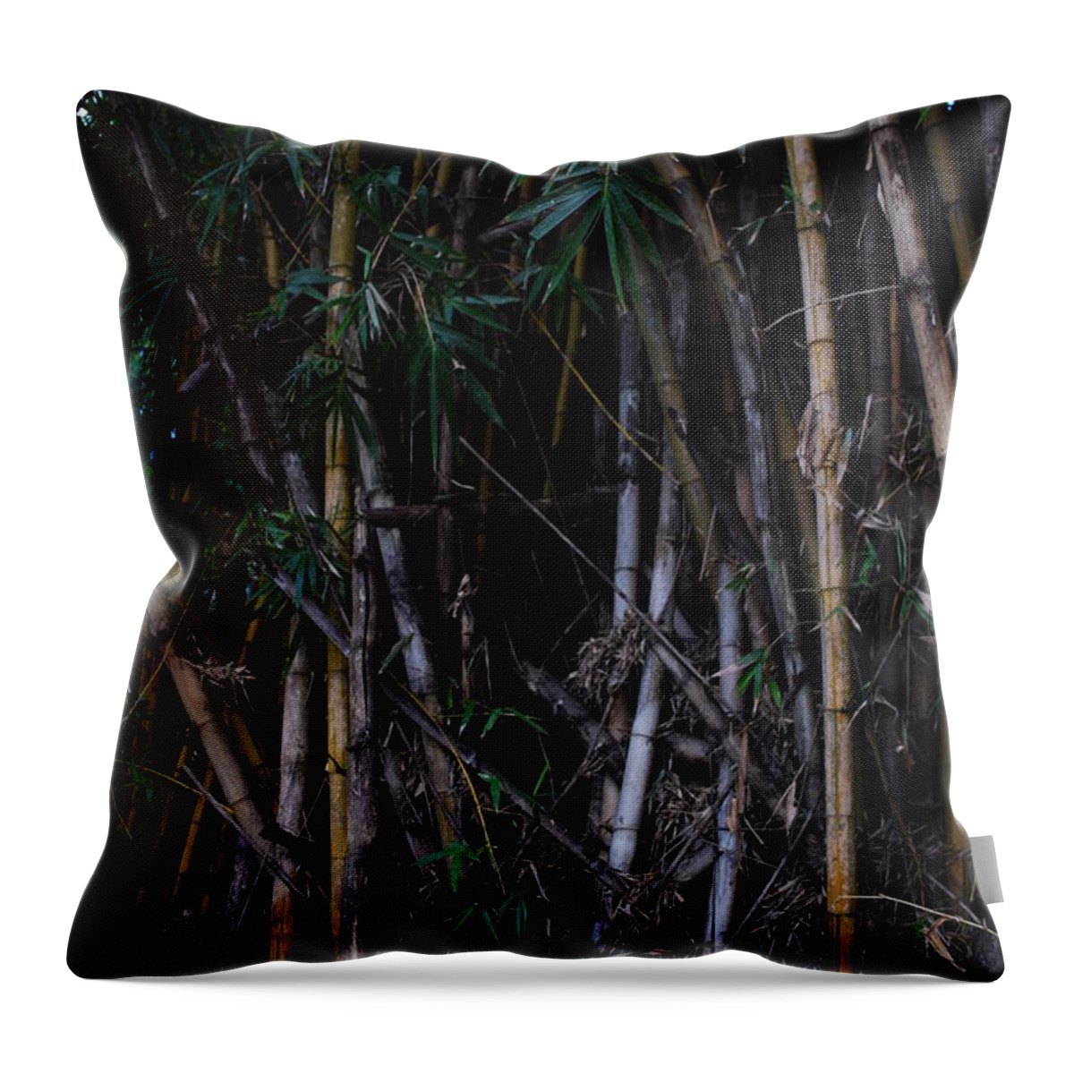 Road Throw Pillow featuring the photograph Mambus by Rebeca Segura