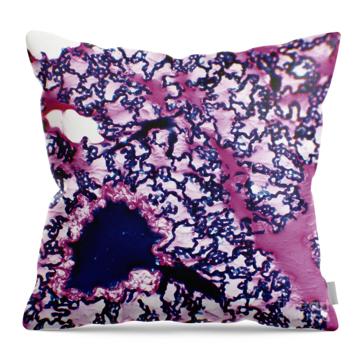 Cross-section Throw Pillow featuring the photograph Mammalian Lung Tissue LM by De Agostini Picture Library