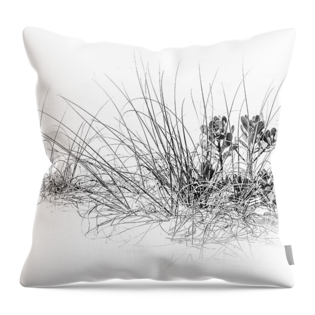 Mangrove And Sea Oats Throw Pillow featuring the photograph Mangrove and Sea Oats-bw by Marvin Spates