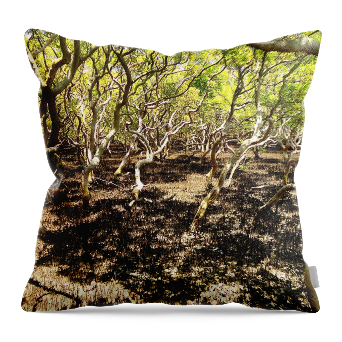 Mangrove Throw Pillow featuring the photograph Mangrove Swamp by Peter Mooyman