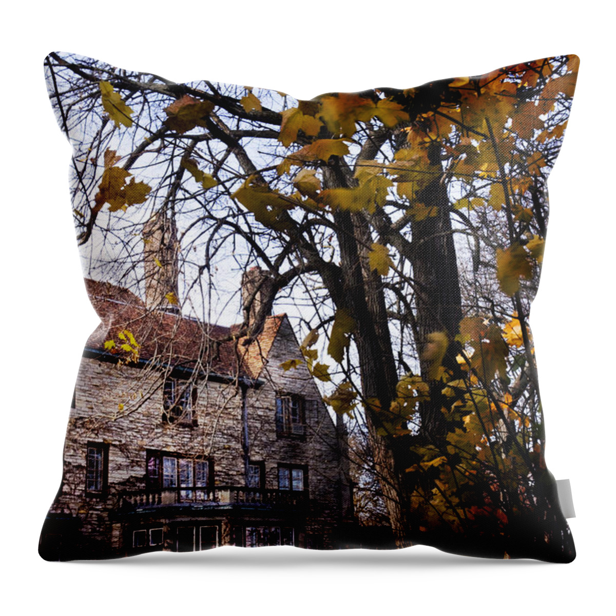 Mansion; Home; House; Outside; Fall; Autumn; Leaves; Dead; Trees; English Tudor; Outside; Outdoors; Large; Stone; Yard; Back; Stately Throw Pillow featuring the photograph Manor by Margie Hurwich