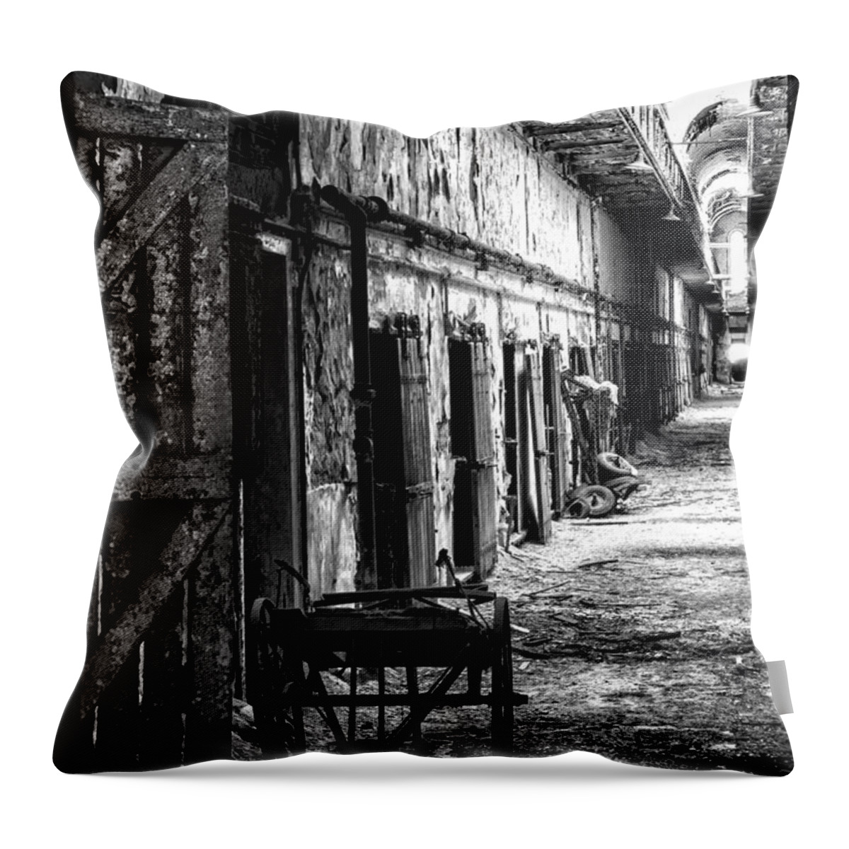 Crystal Yingling Throw Pillow featuring the photograph Many Souls by Ghostwinds Photography