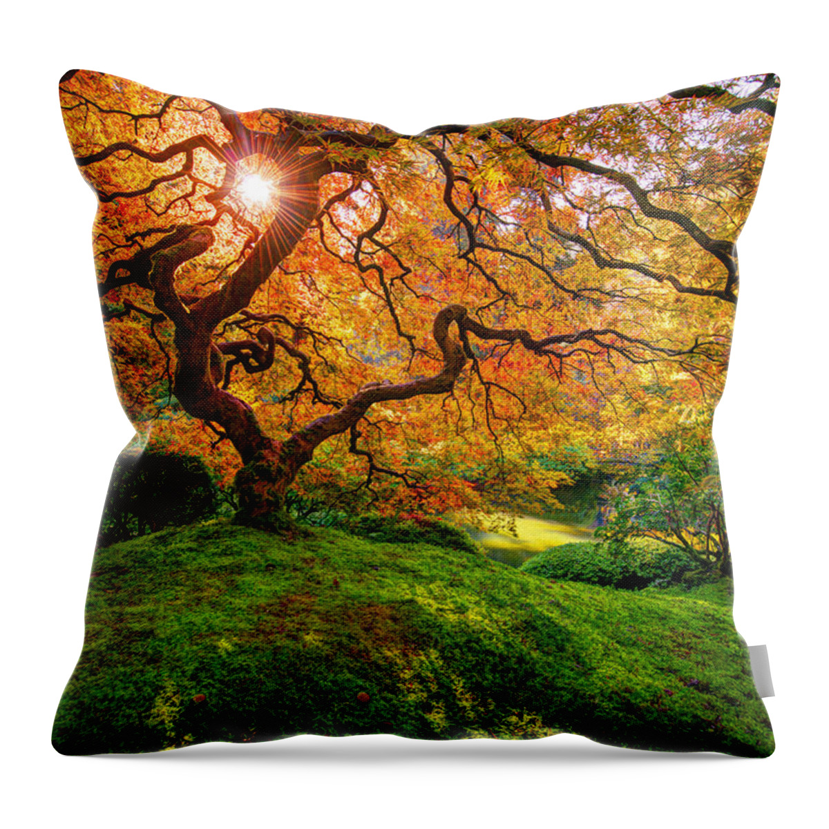Japanese Maple Throw Pillow featuring the photograph Maple by Dustin LeFevre