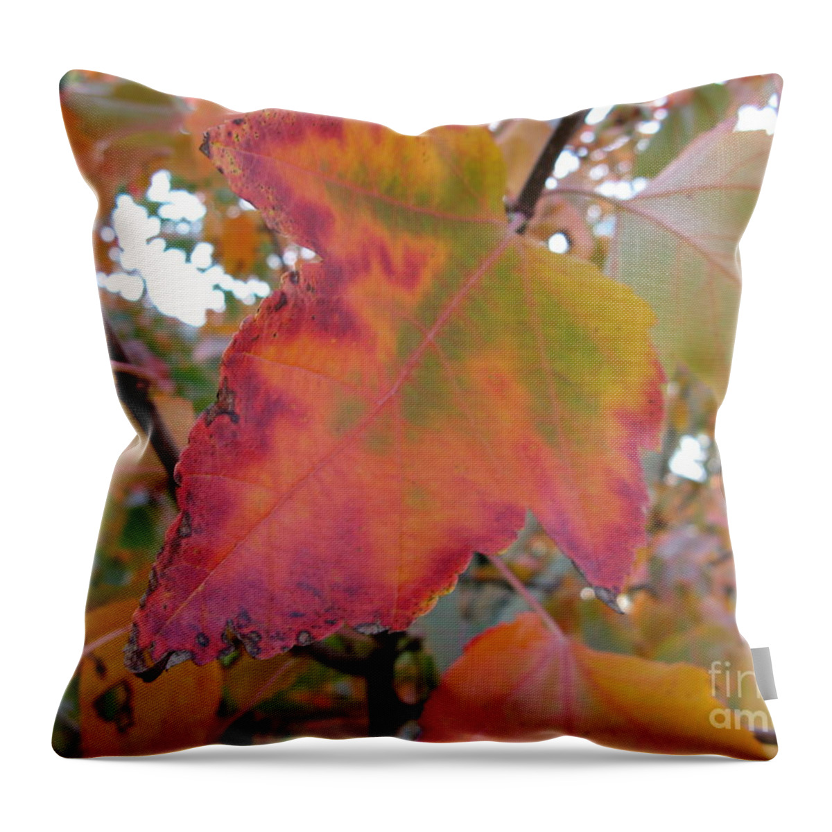 Maple Leaf Throw Pillow featuring the photograph Maple Leaf Autumn by Mars Besso
