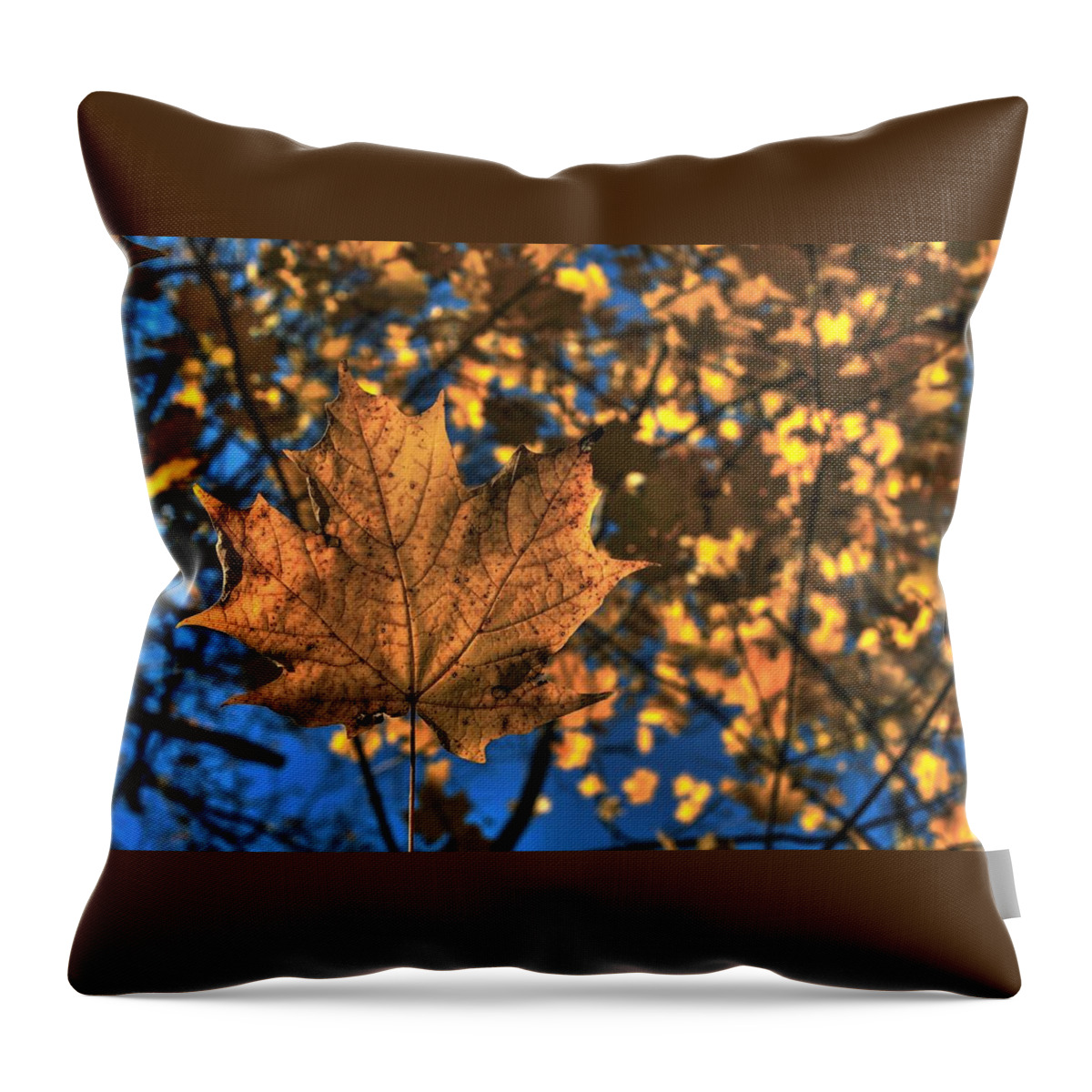 Maple Leaf Throw Pillow featuring the photograph Maple Leaf Still Standing by Karl Anderson