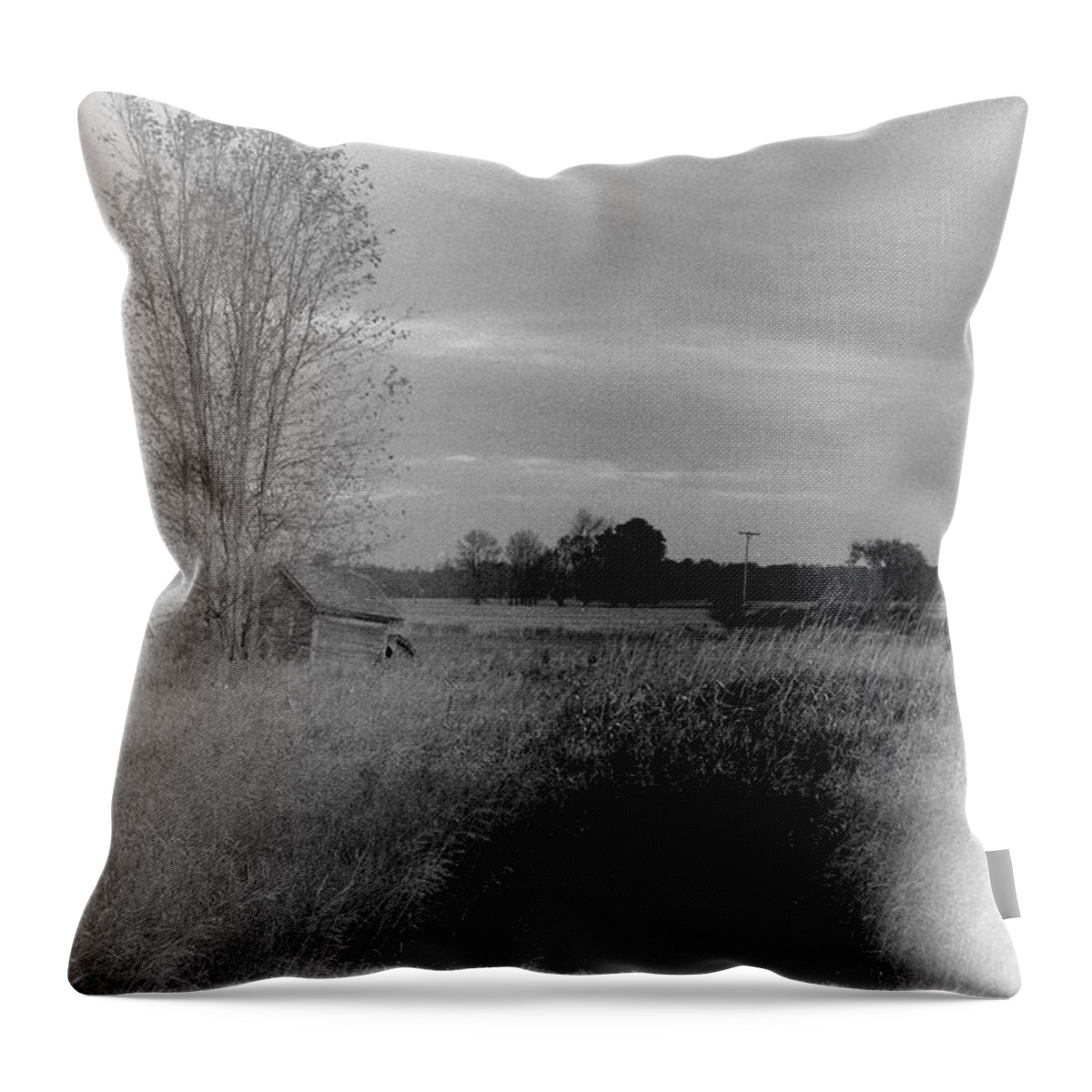 B&w Throw Pillow featuring the photograph Maple Ridge Rd farm by Daniel Thompson