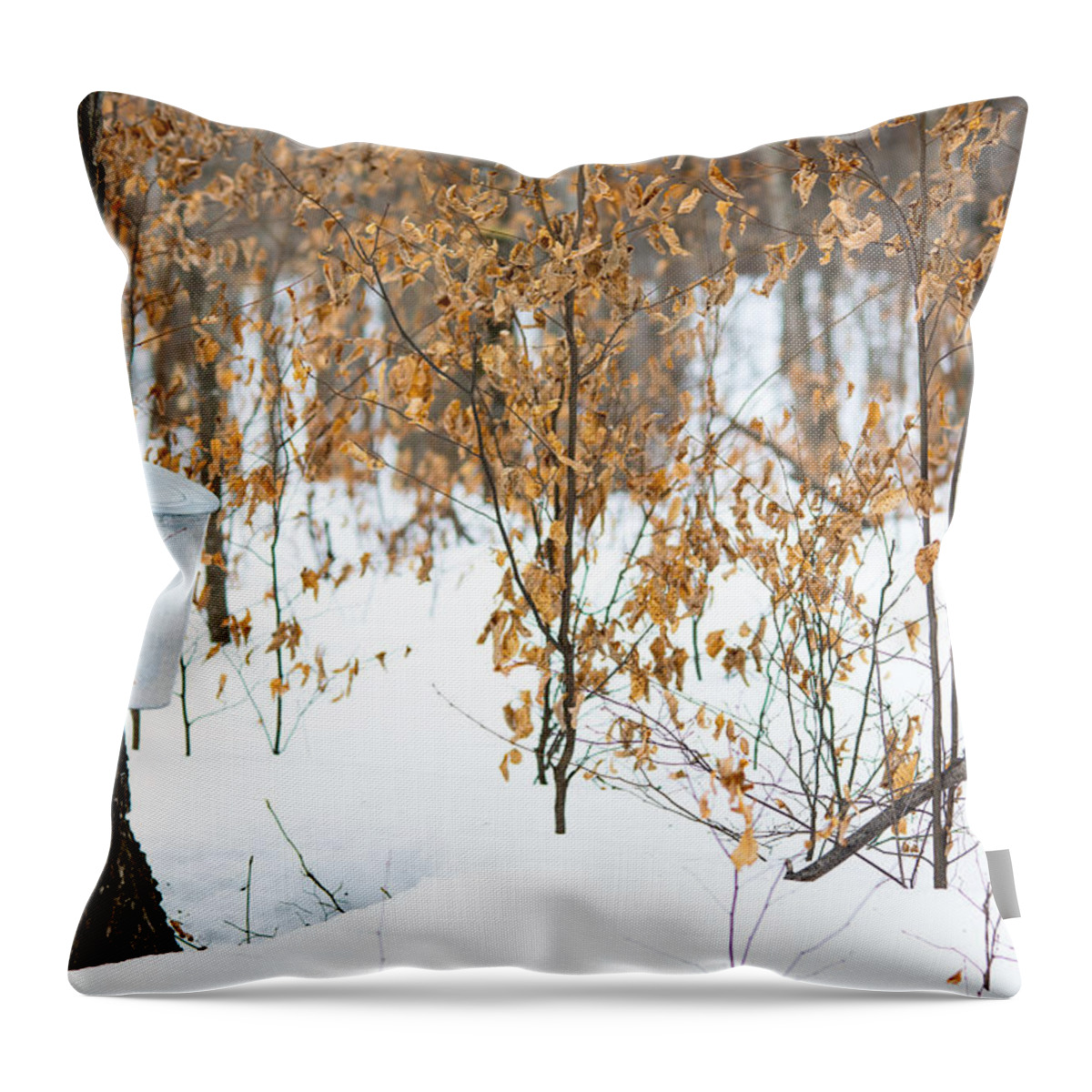 Landscape Throw Pillow featuring the photograph Maple Woods by Cheryl Baxter