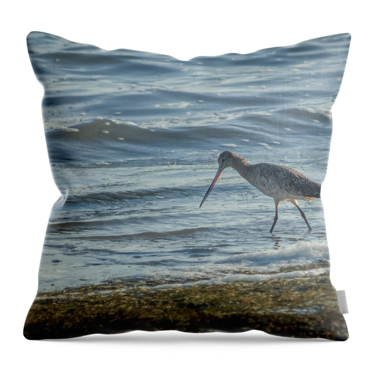 Florida Throw Pillow featuring the photograph Marbled Godwit by Jane Luxton