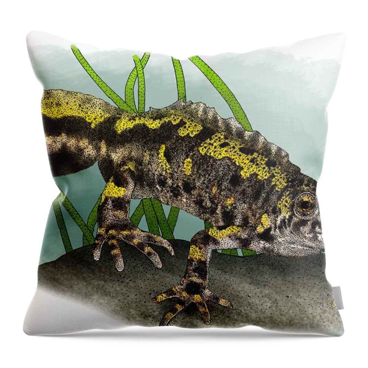 Marbled Newt Throw Pillow featuring the photograph Marbled Newt by Roger Hall
