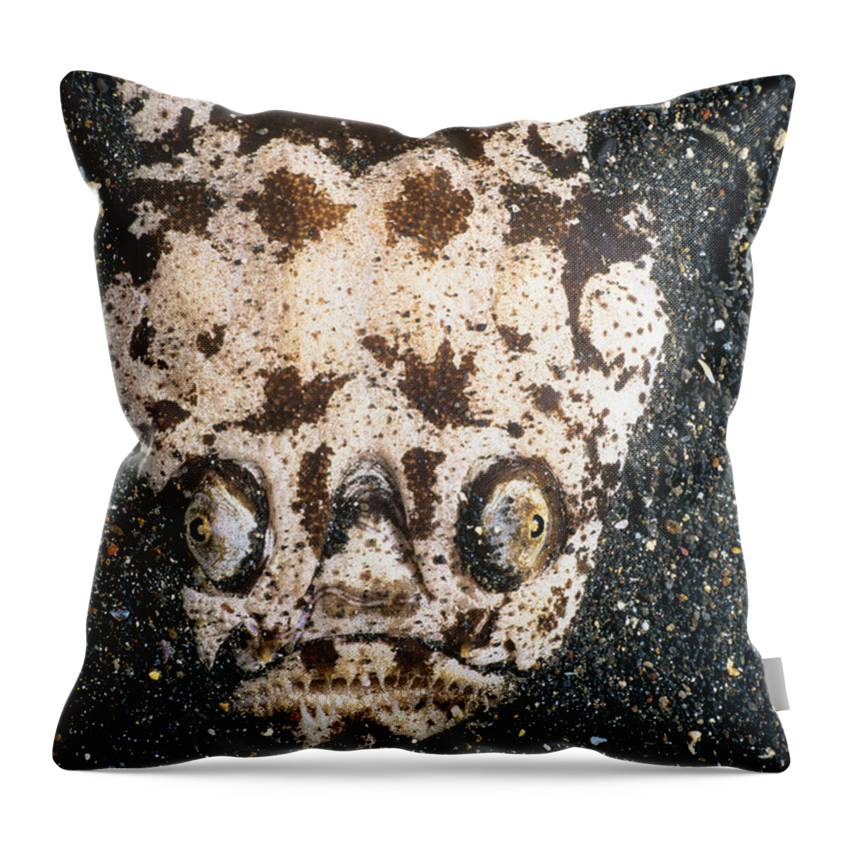 Marbled Stargazer Throw Pillow featuring the photograph Marbled Stargazer by Jeff Rotman