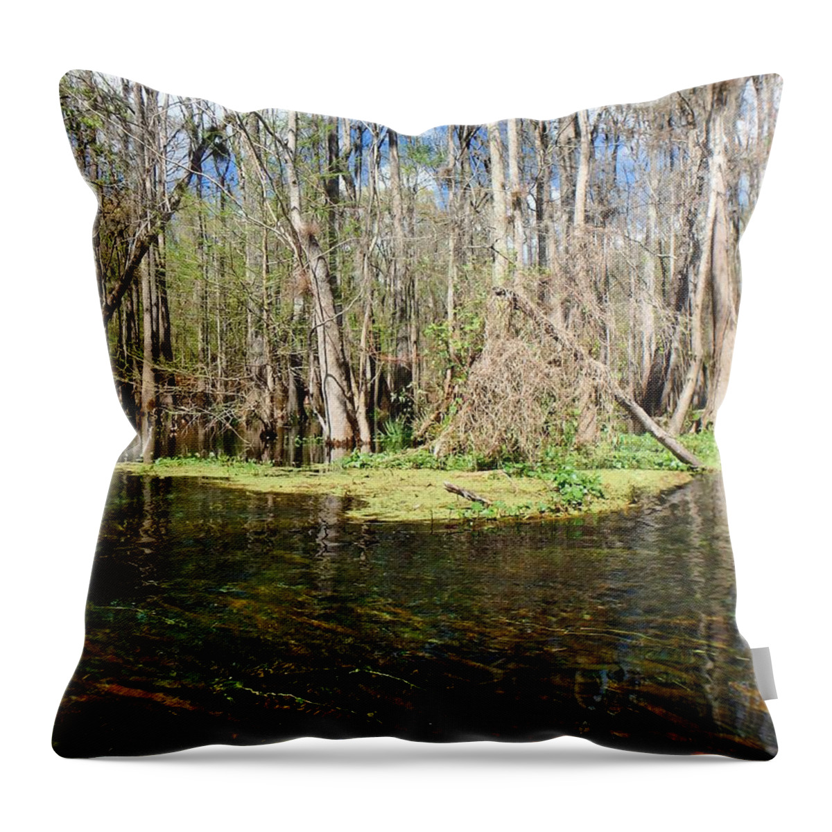 Ichetucknee Throw Pillow featuring the photograph March on the Itchetucknee by Sheri McLeroy