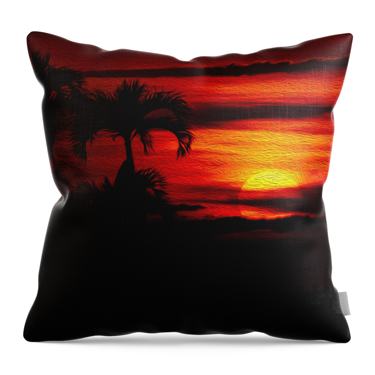 2007 Throw Pillow featuring the photograph Marco Island Sunset 59 by Mark Myhaver