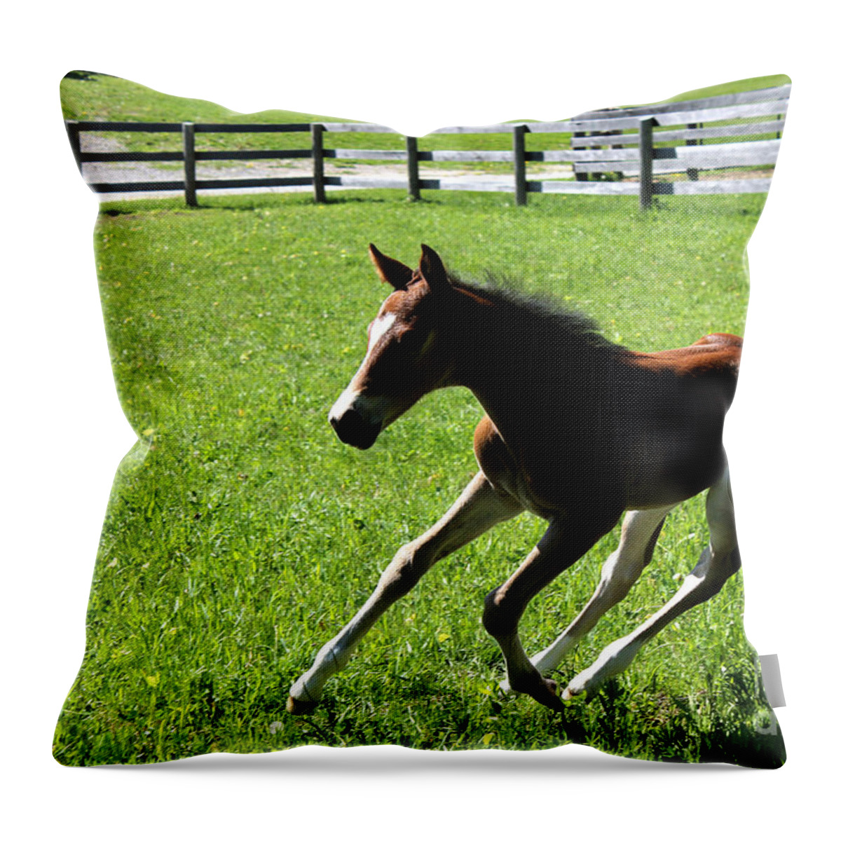 Foal Throw Pillow featuring the photograph Mare Foal56 by Janice Byer