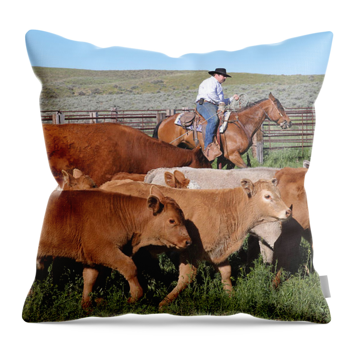 Wyoming 2014 Throw Pillow featuring the photograph Mark by Diane Bohna
