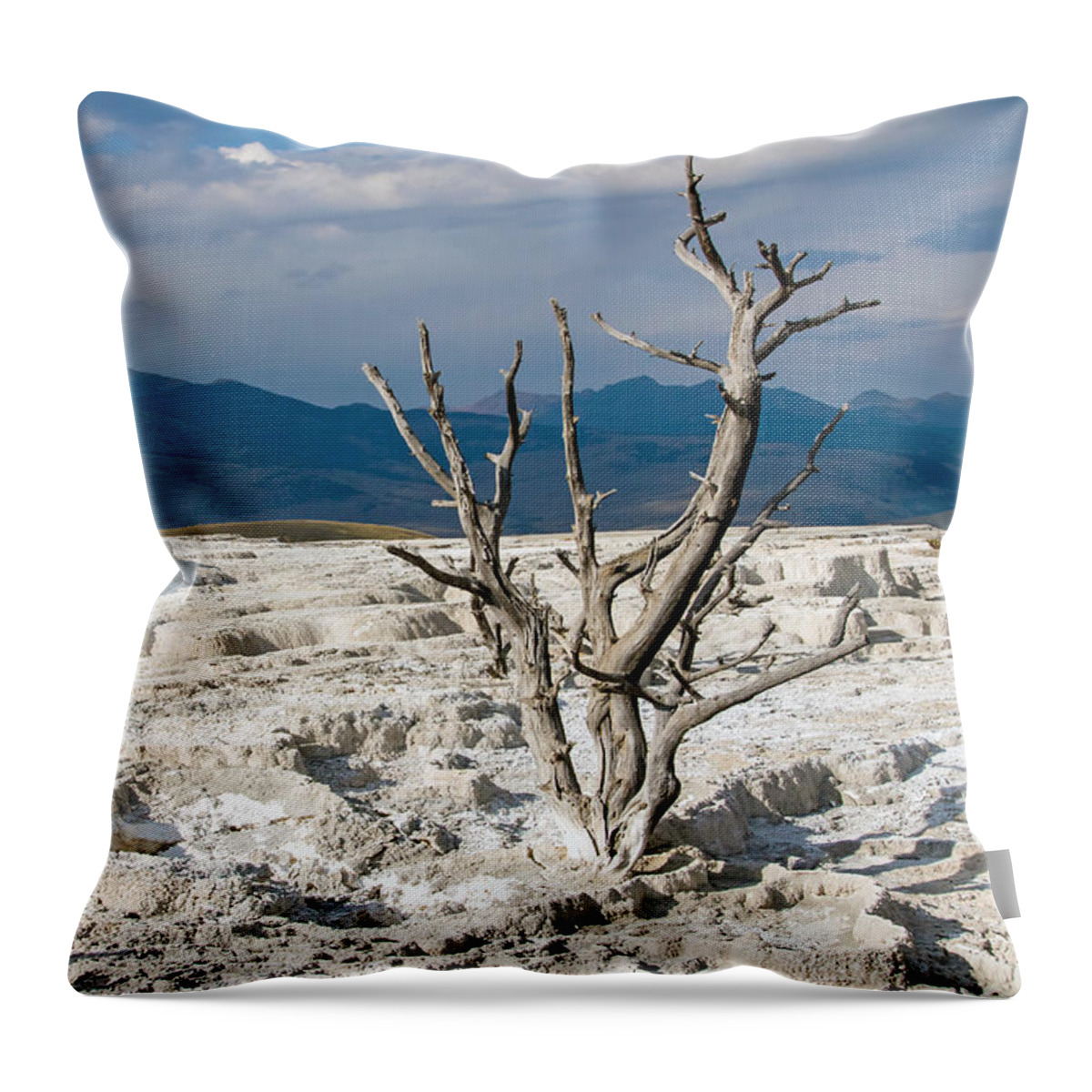 Mammoth Hot Springs Throw Pillow featuring the photograph Marooned by Nicholas Blackwell