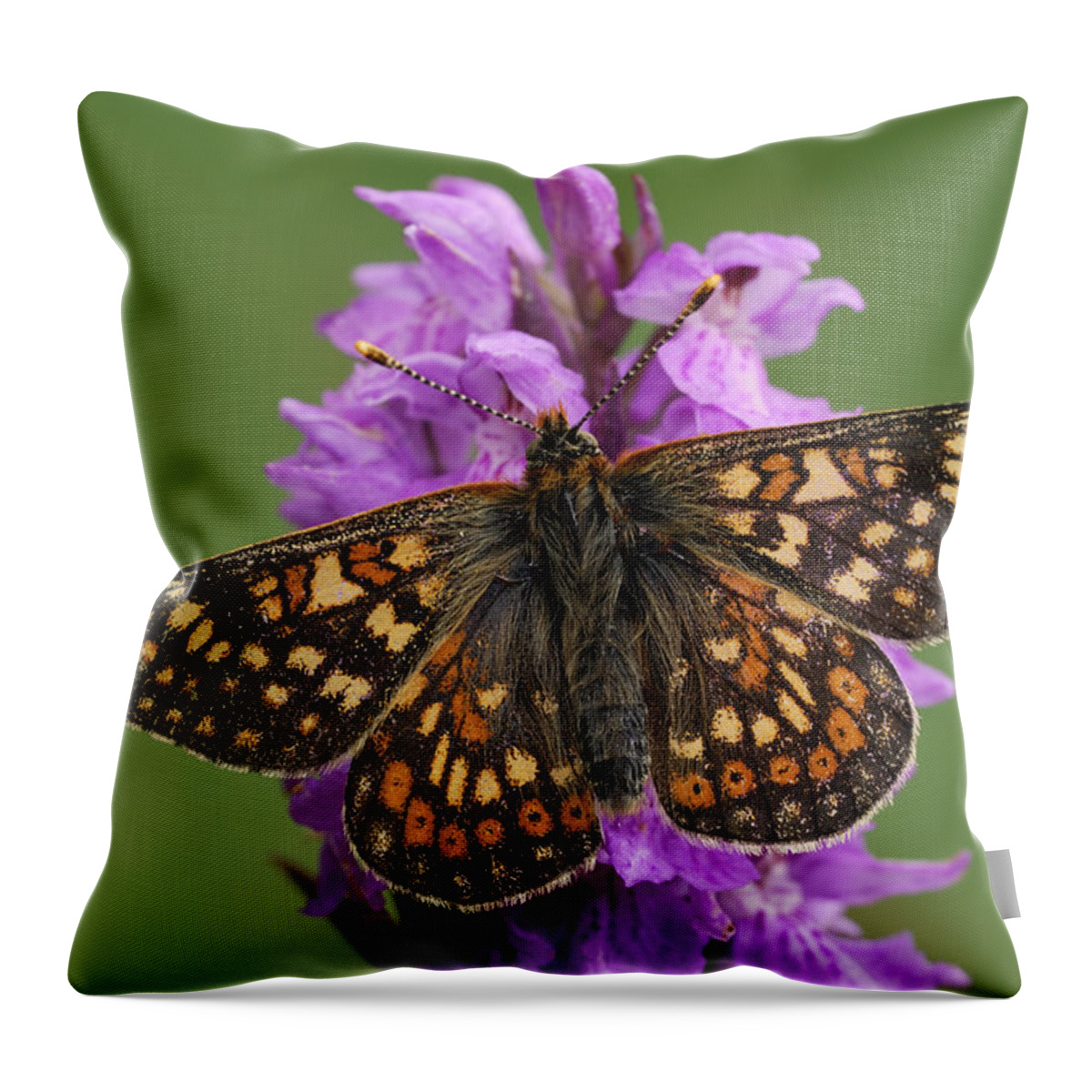 Feb0514 Throw Pillow featuring the photograph Marsh Fritillary in the Swiss Alps by Thomas Marent