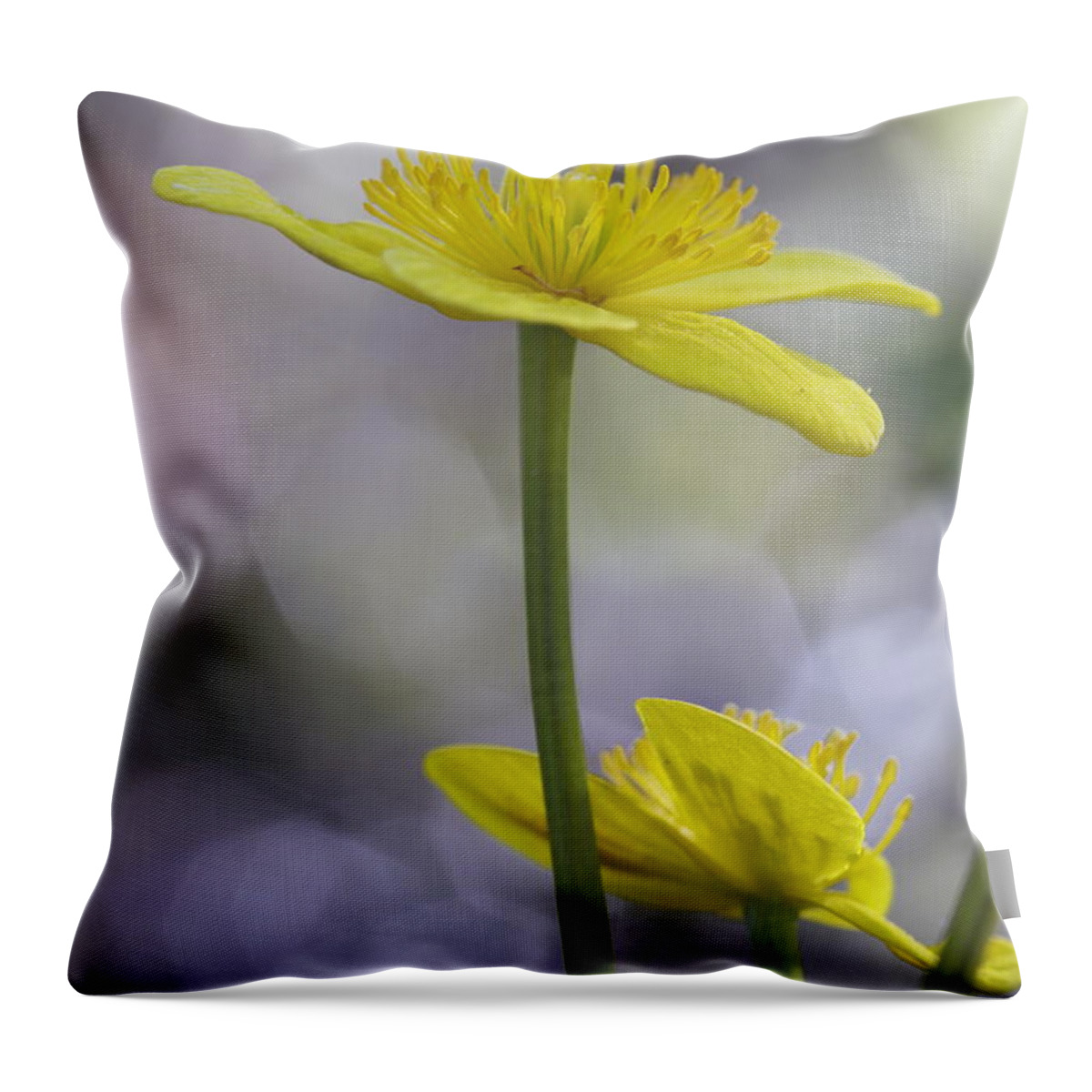 Beautiful Throw Pillow featuring the photograph Marsh marigold - available for licensing by Ulrich Kunst And Bettina Scheidulin