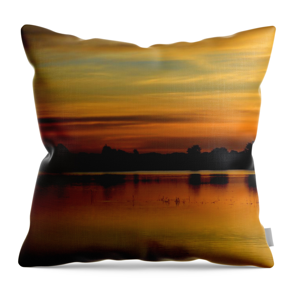Marsh Throw Pillow featuring the photograph Marsh Rise Tile 1 by Bonfire Photography